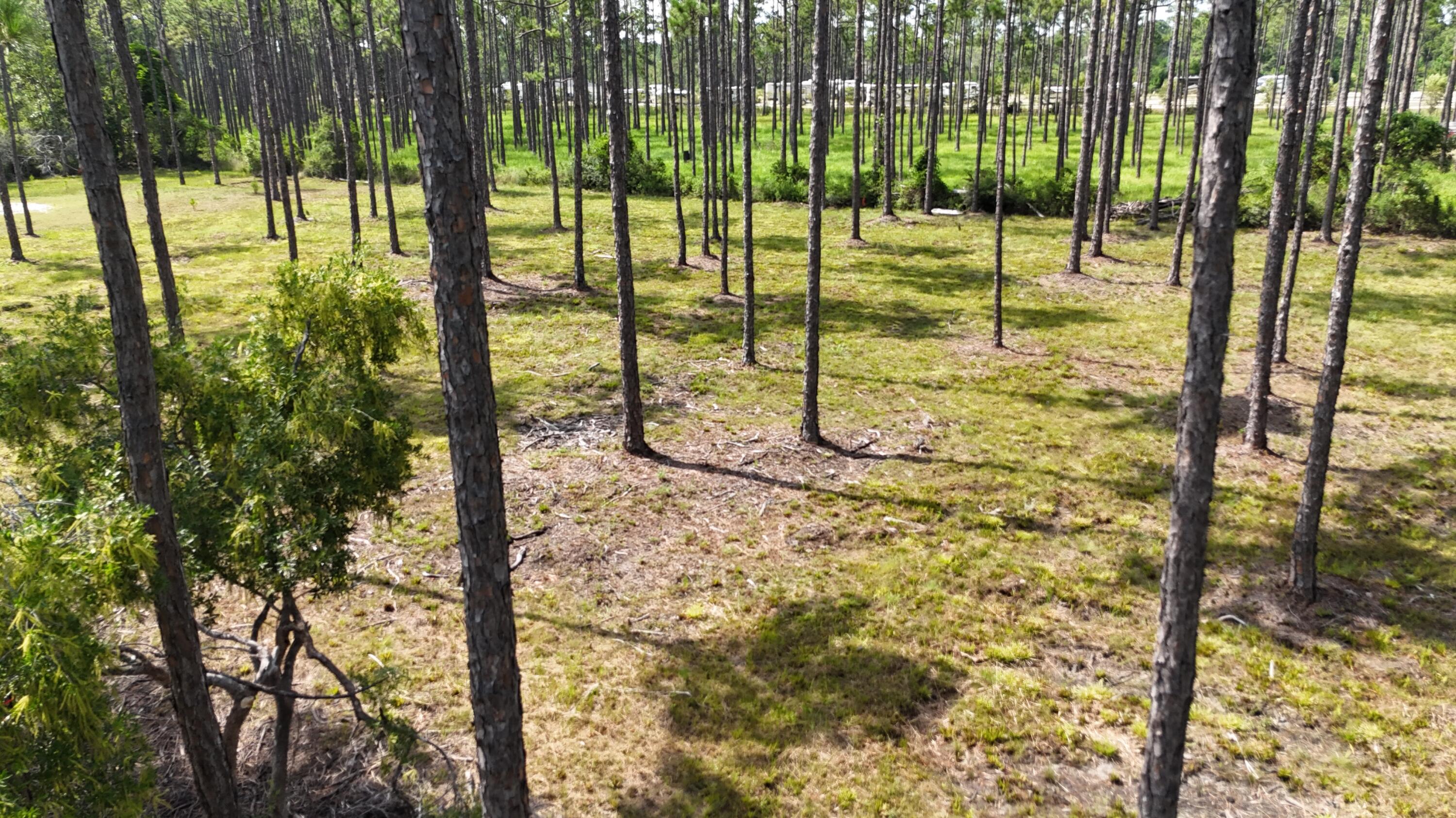 lot 4 foxmire farm rd