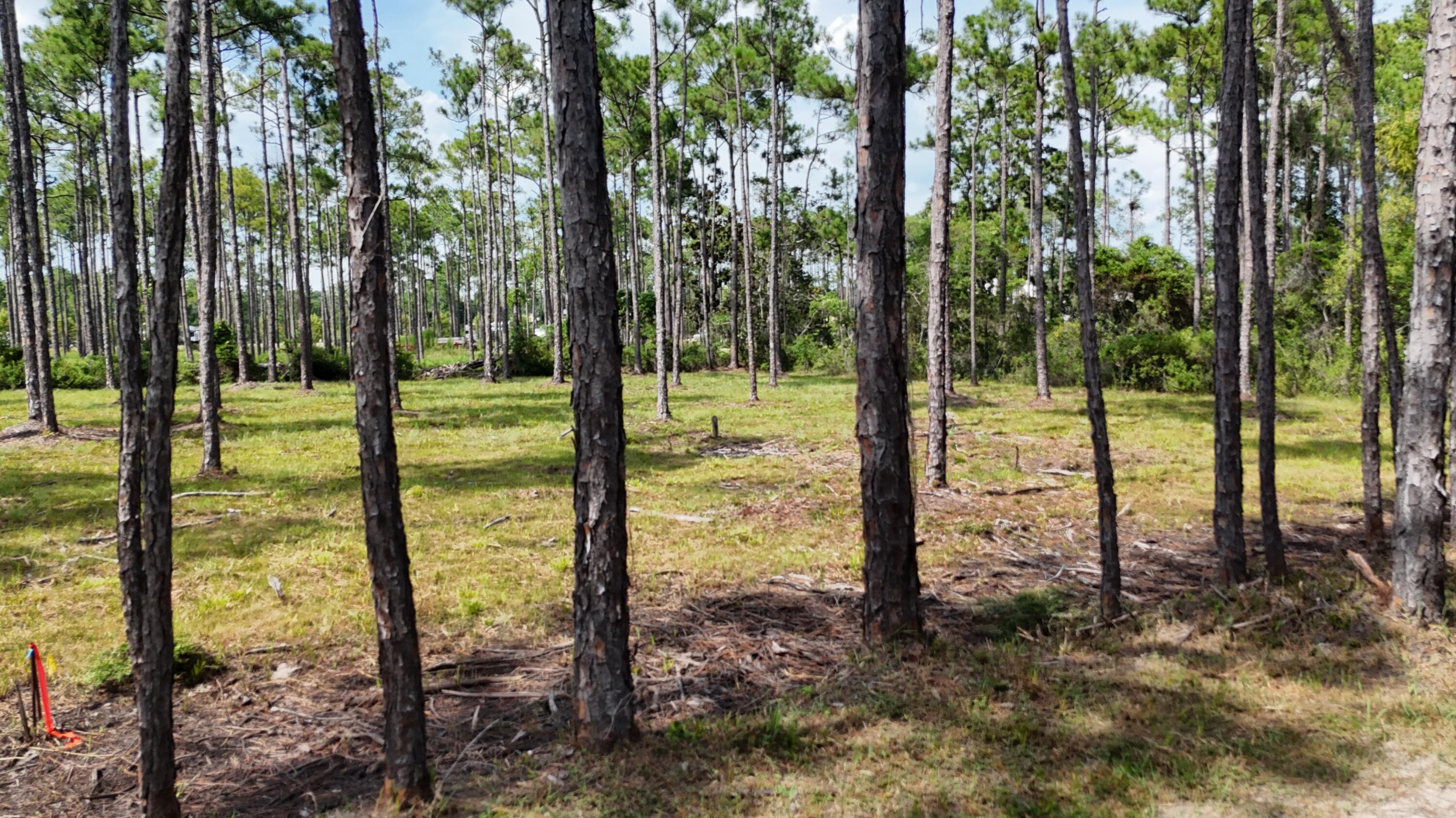 lot 4 foxmire farm rd