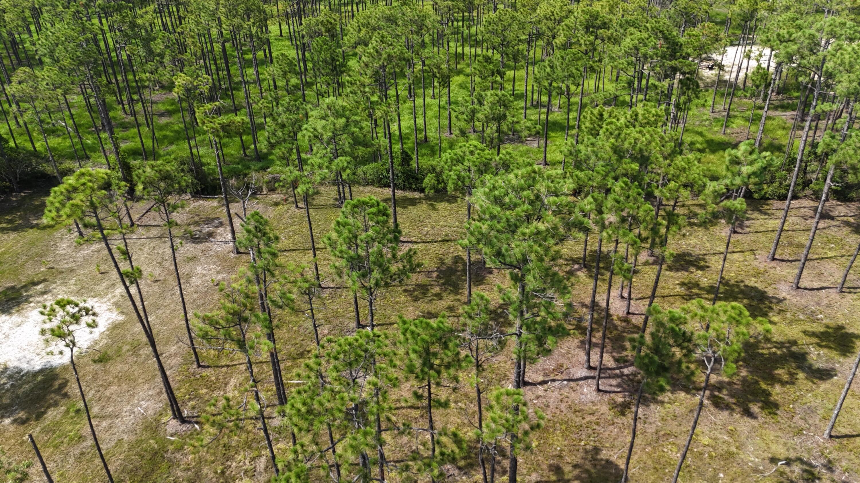 lot 5 Foxmire Farm Road