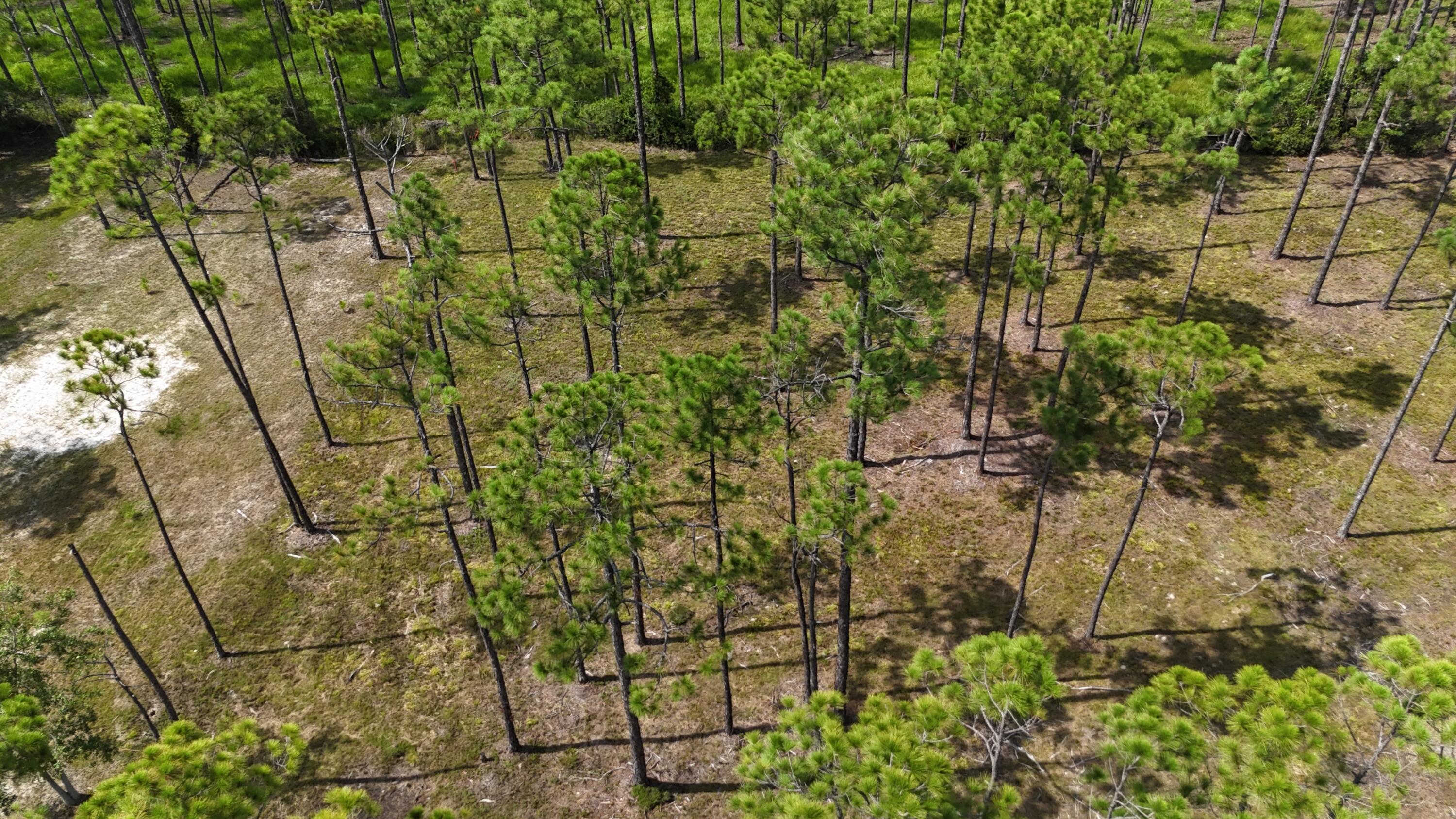 lot 5 Foxmire Farm Road
