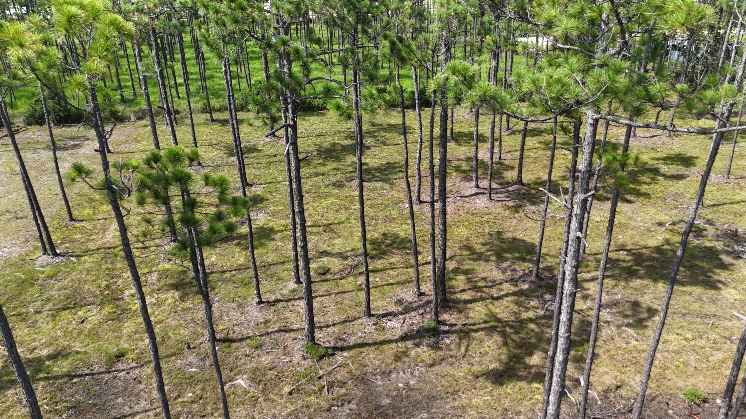 lot 5 Foxmire Farm Road