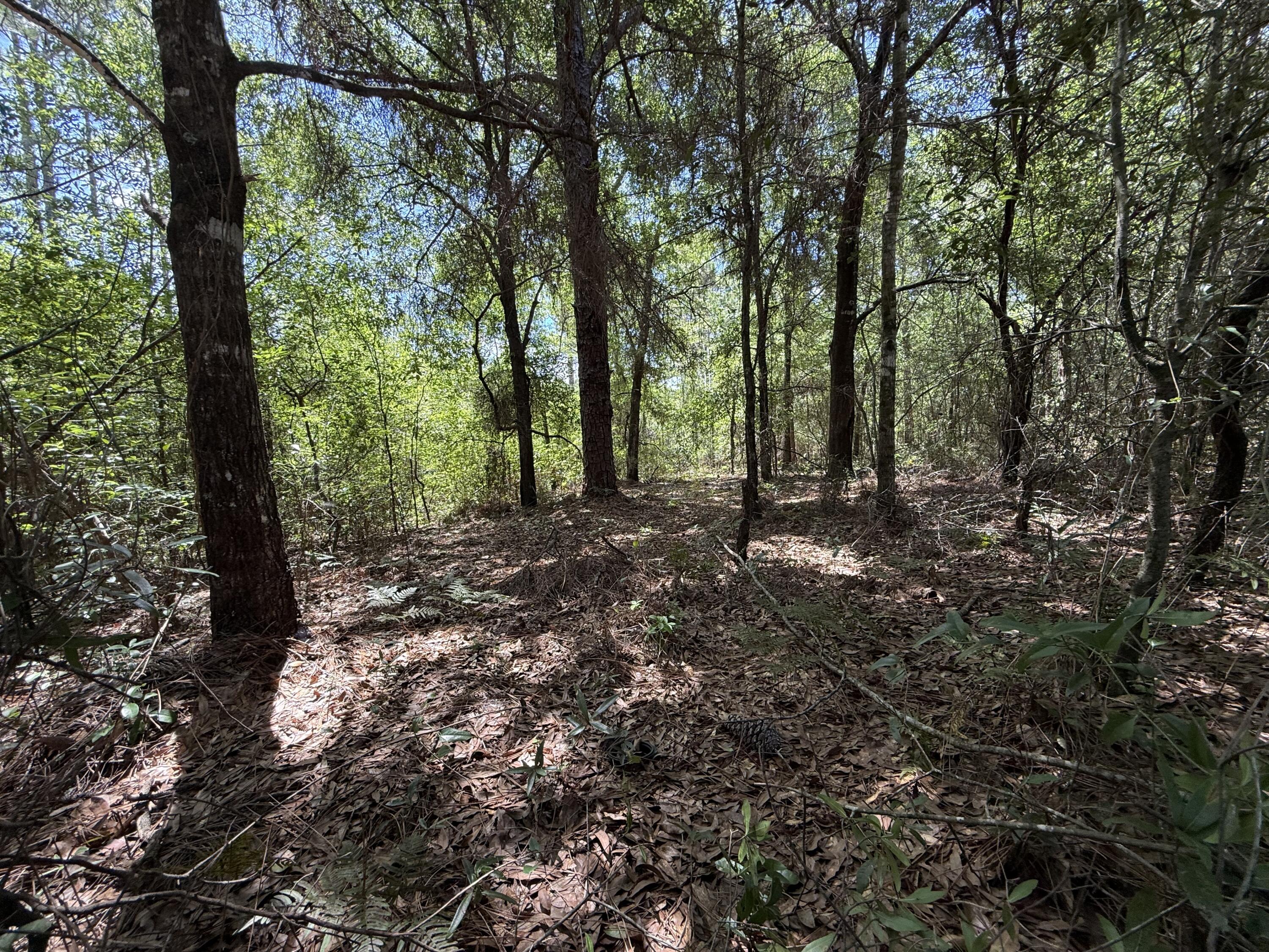 Lots 32_33 Blk 25 Trout Road Drive, DeFuniak Springs