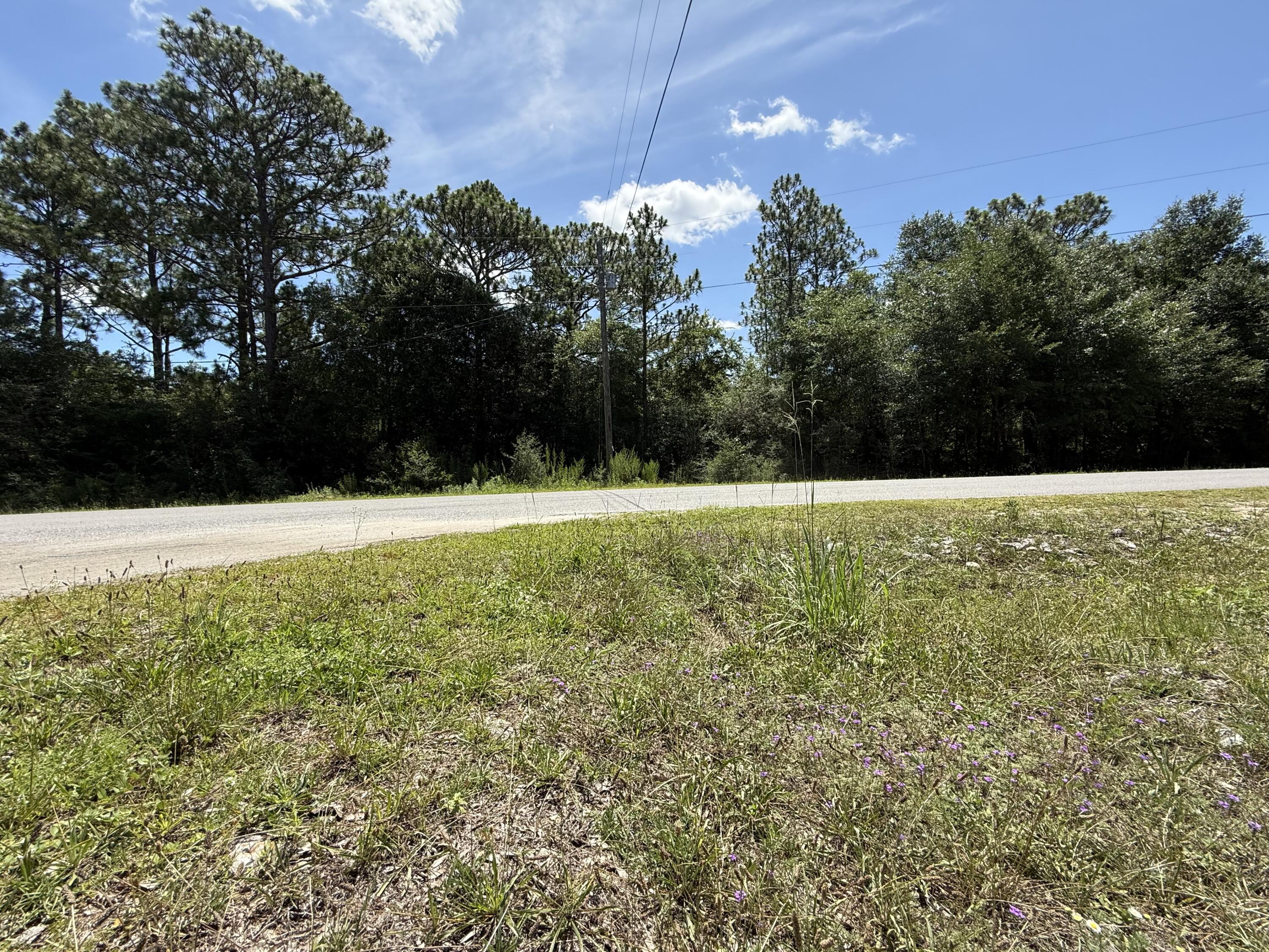 Lots 32_33 Blk 25 Trout Road Drive, DeFuniak Springs