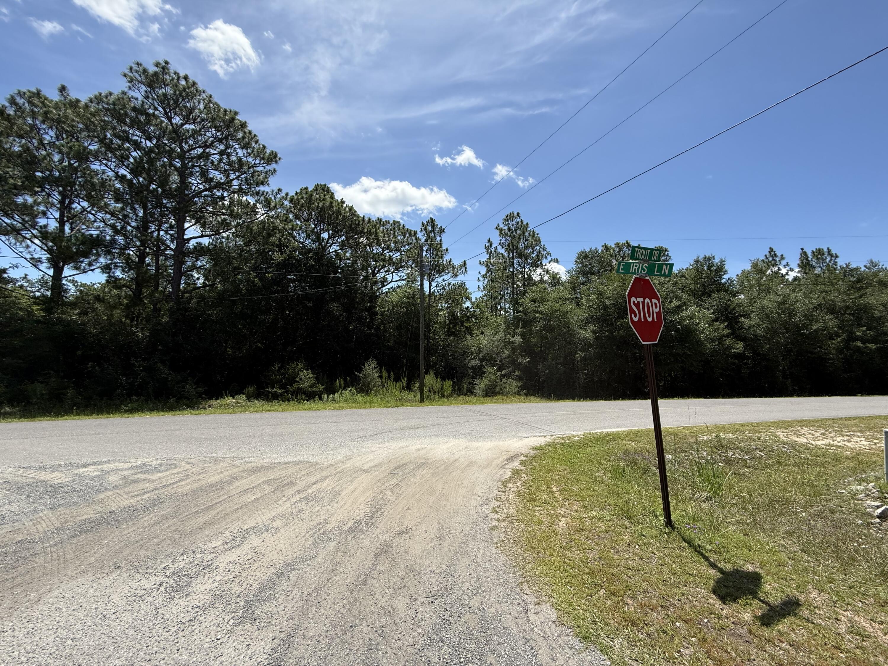 Lots 32_33 Blk 25 Trout Road Drive, DeFuniak Springs