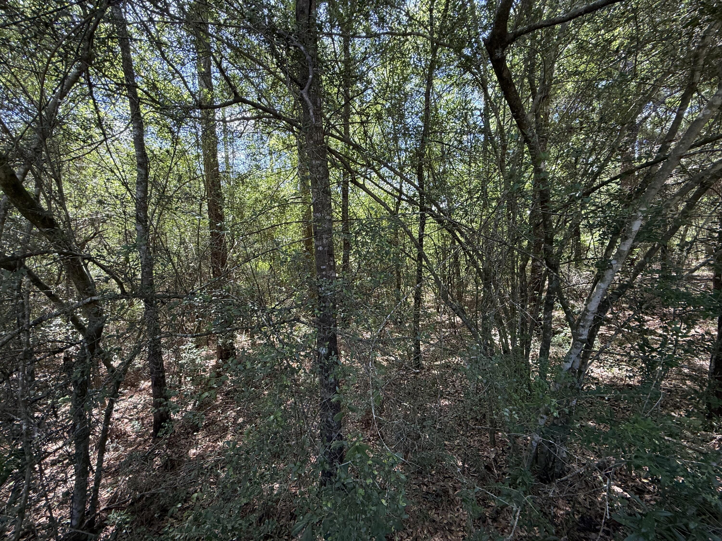 Lots 32_33 Blk 25 Trout Road Drive, DeFuniak Springs