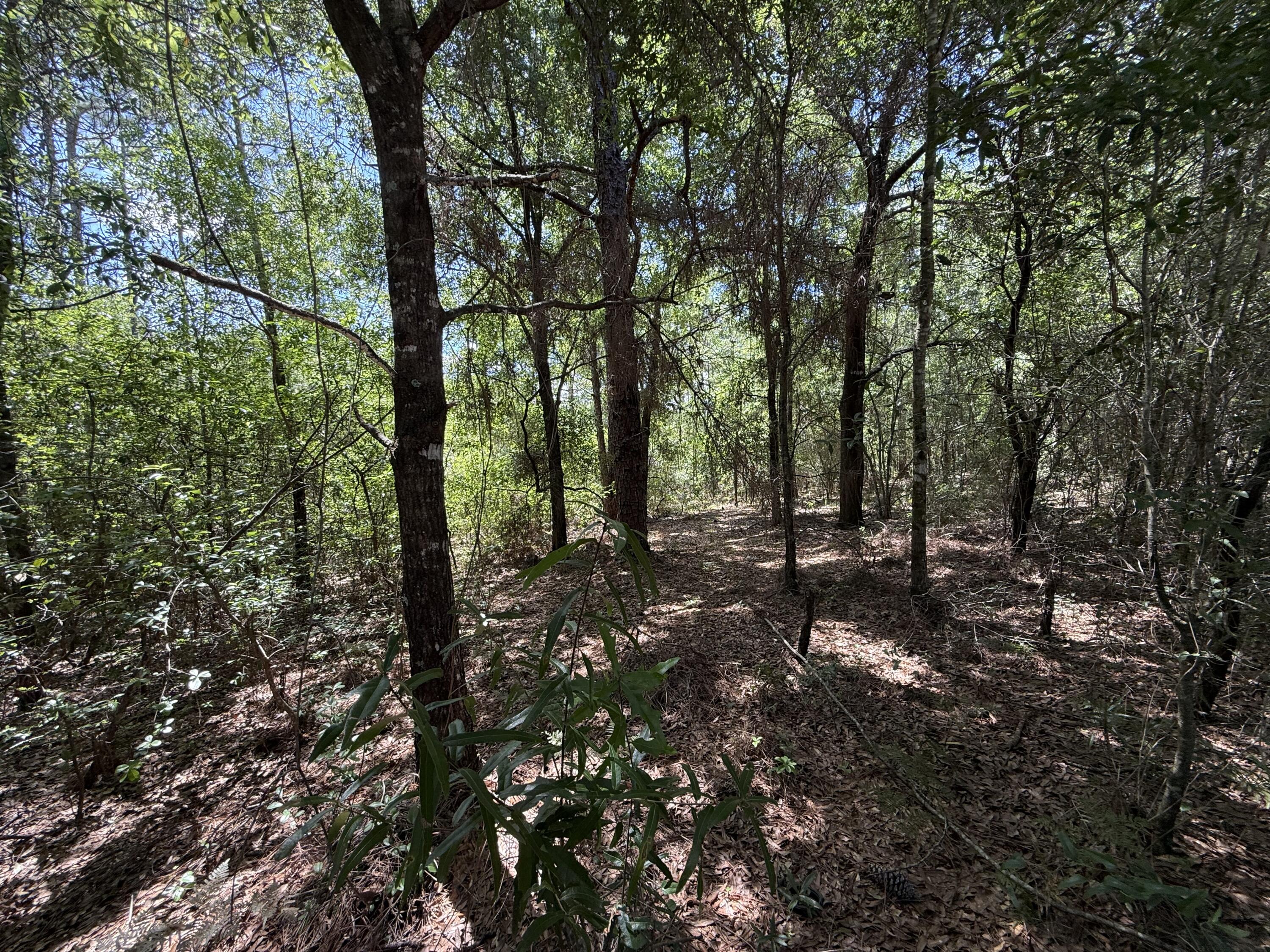 Lots 32_33 Blk 25 Trout Road Drive, DeFuniak Springs