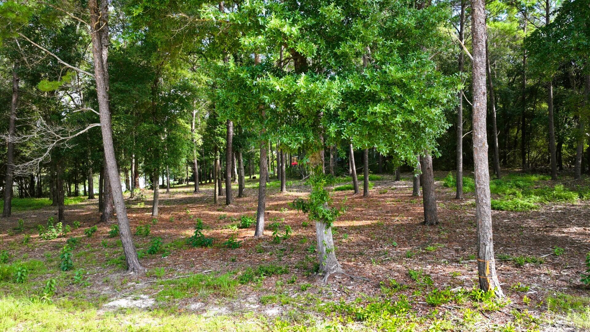 TBD country boulevard, DeFuniak Springs