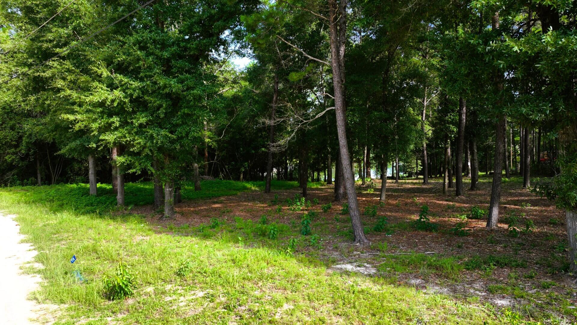 TBD country boulevard, DeFuniak Springs
