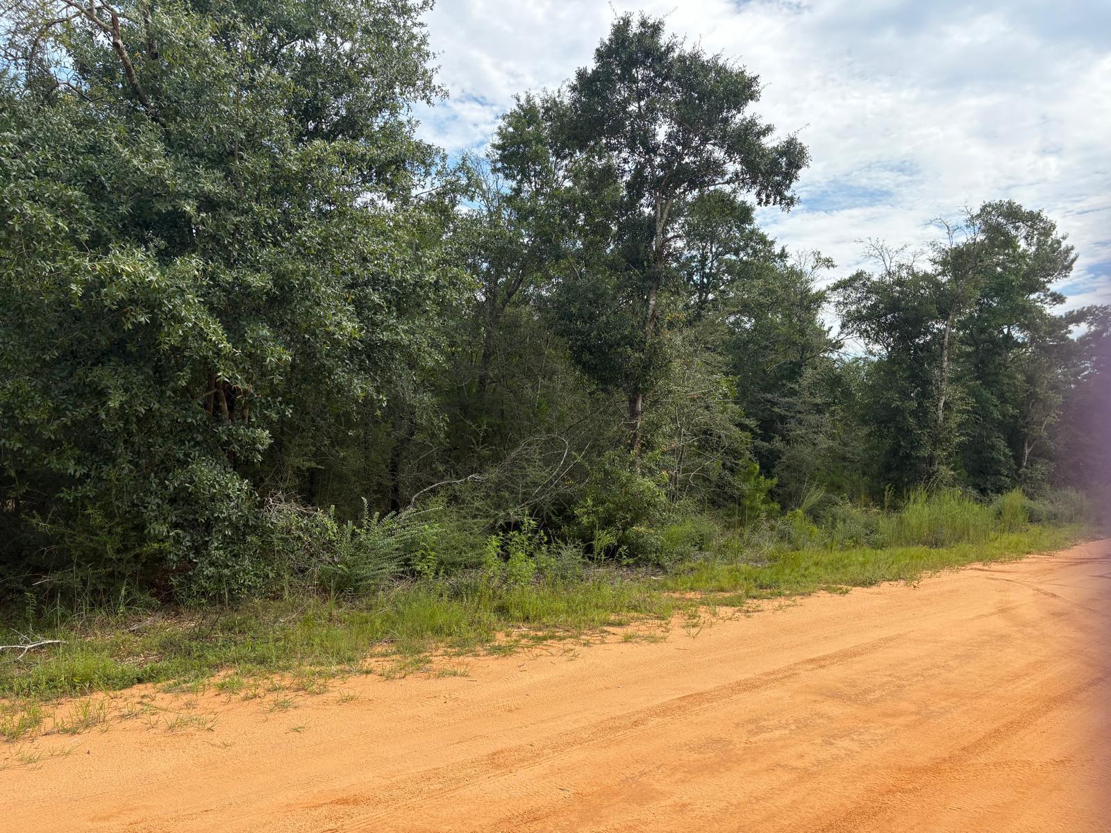 Lots XXX W Royal Palm Avenue, DeFuniak Springs