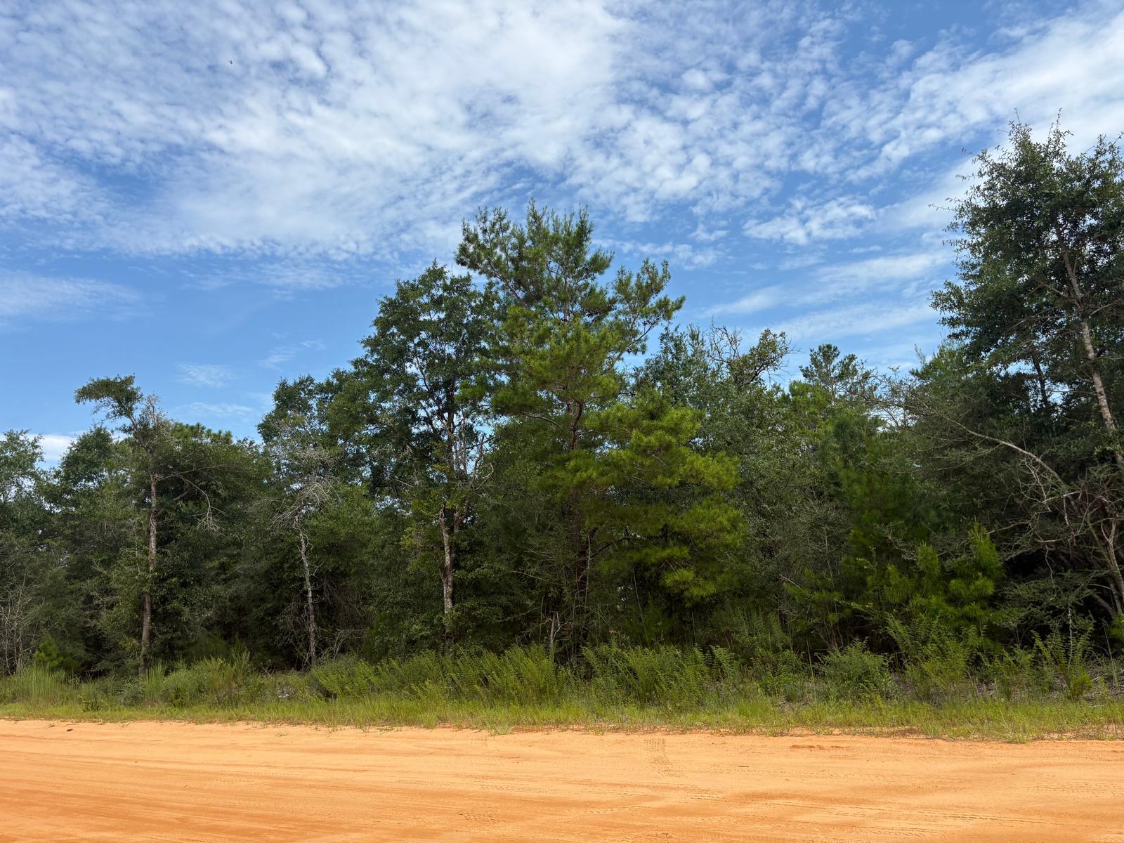 Lots XXX W Royal Palm Avenue, DeFuniak Springs