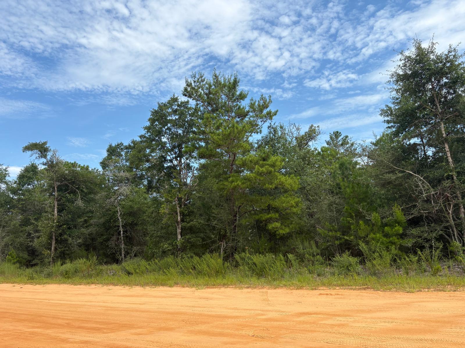 Lots XXX W Royal Palm Avenue, DeFuniak Springs