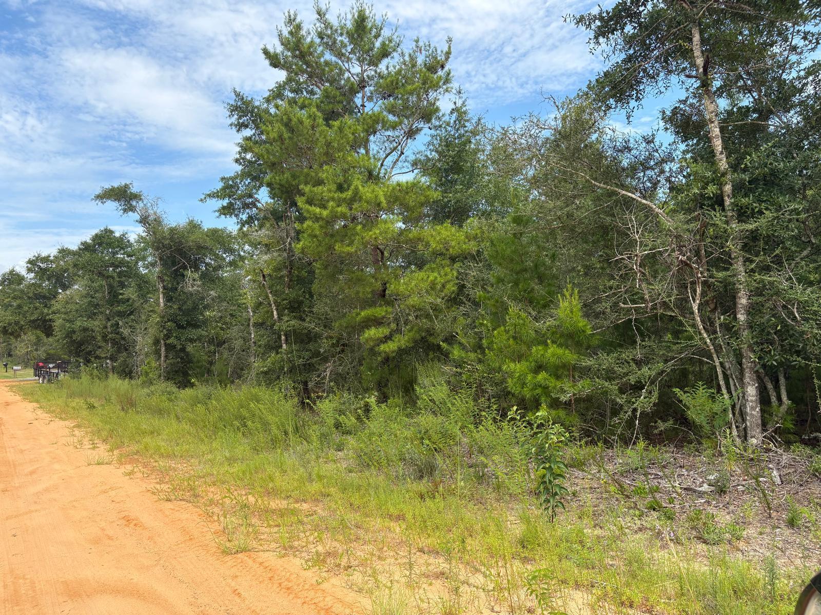 Lots XXX W Royal Palm Avenue, DeFuniak Springs