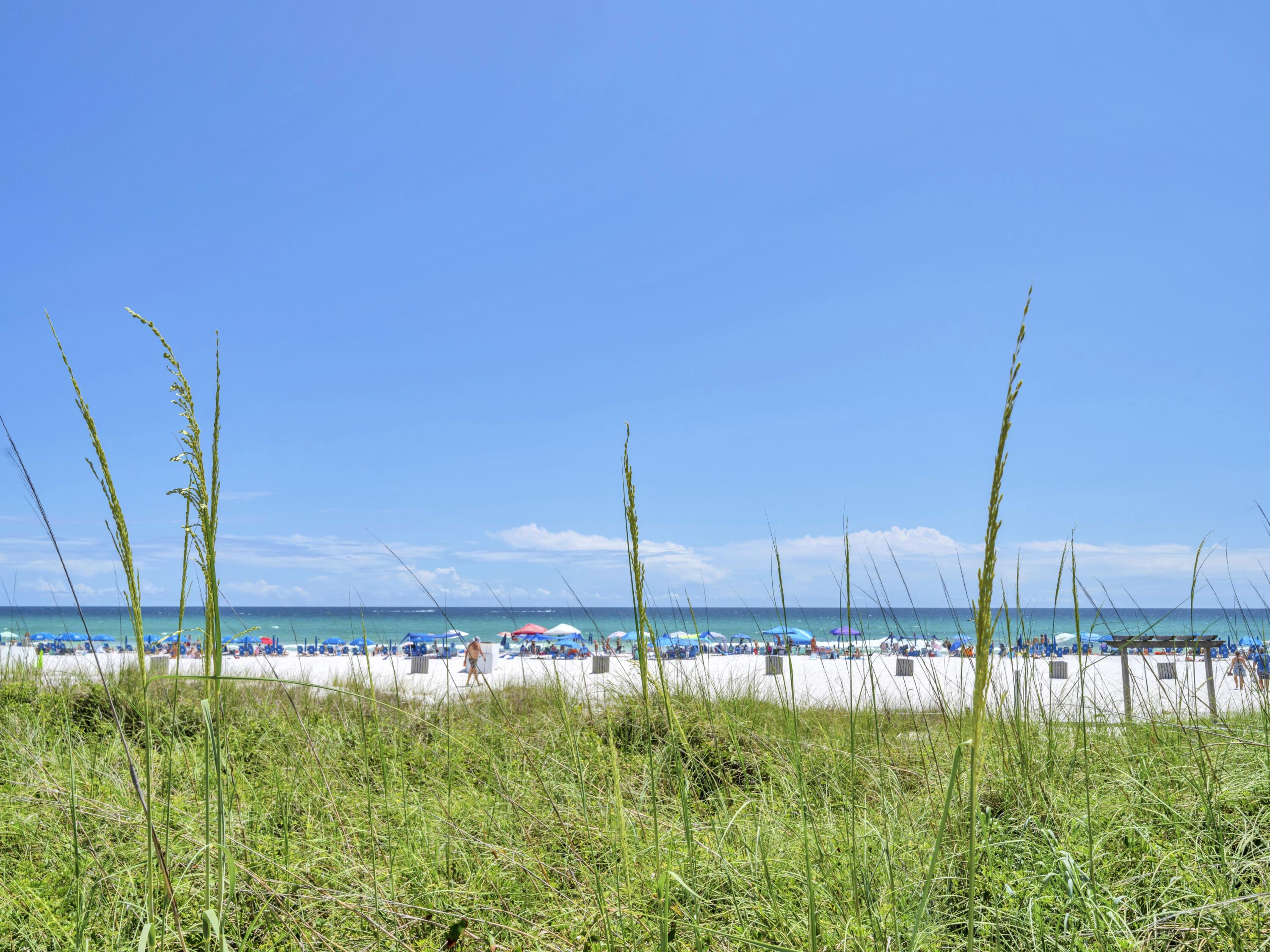 11619 Front Beach Road 511