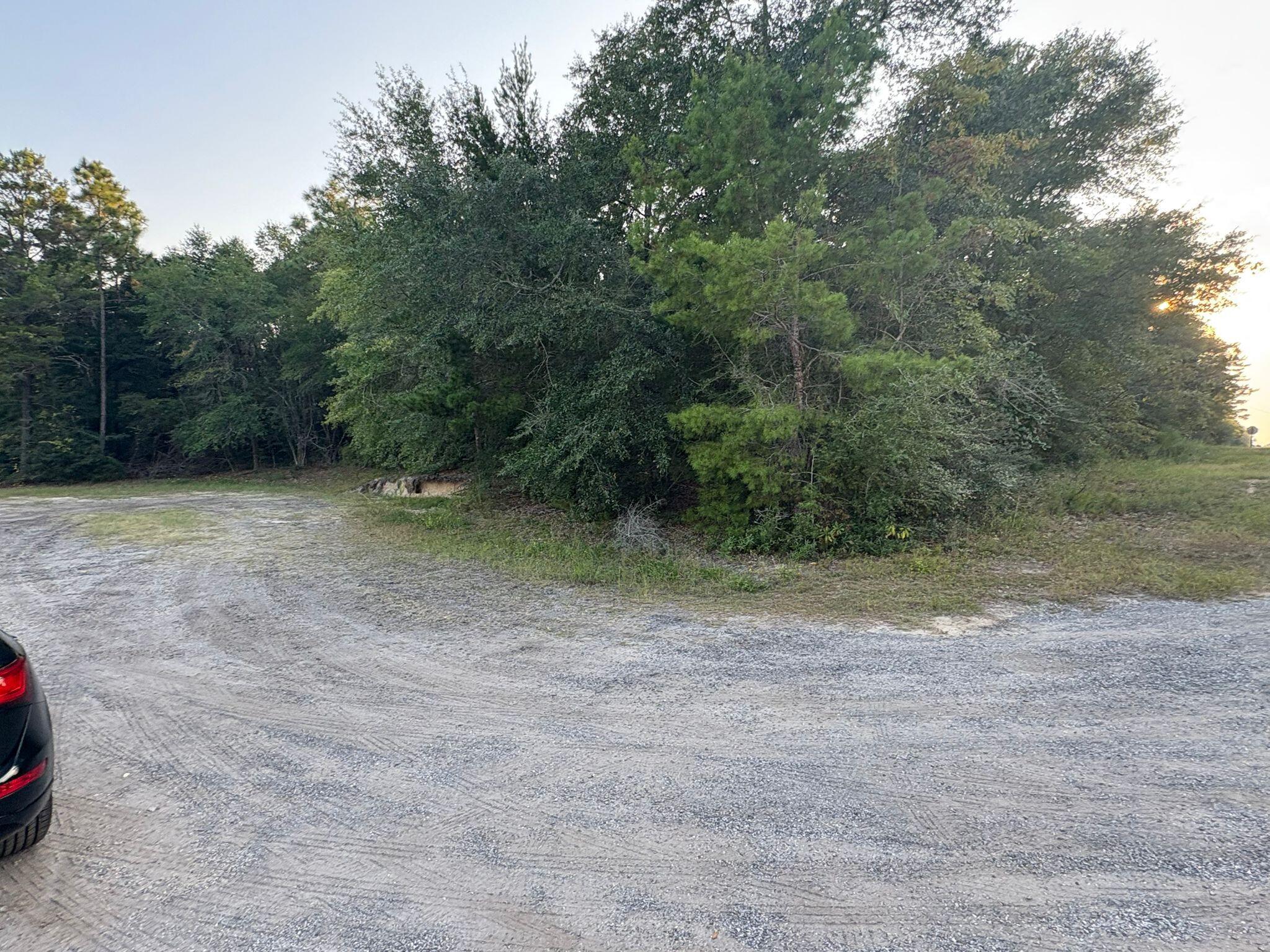 Lots 14-16 Windflower Street, DeFuniak Springs