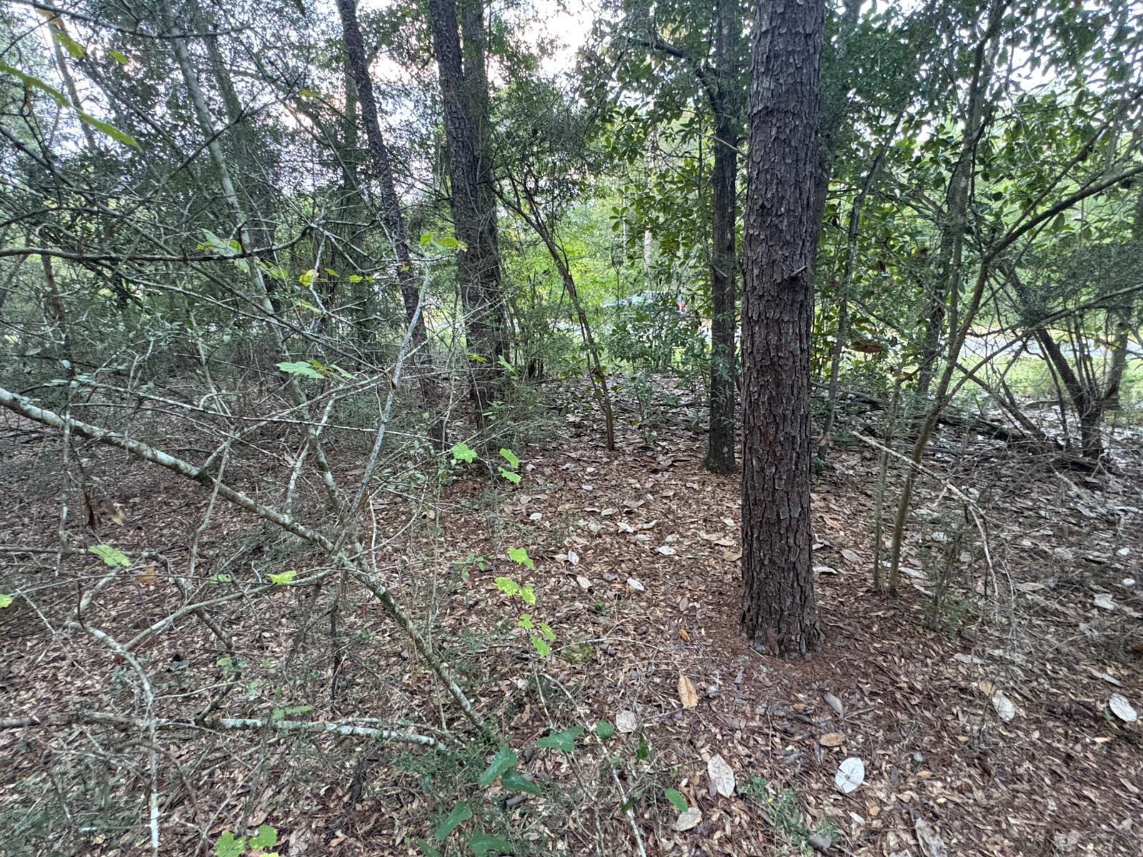 Lots 14-16 Windflower Street, DeFuniak Springs