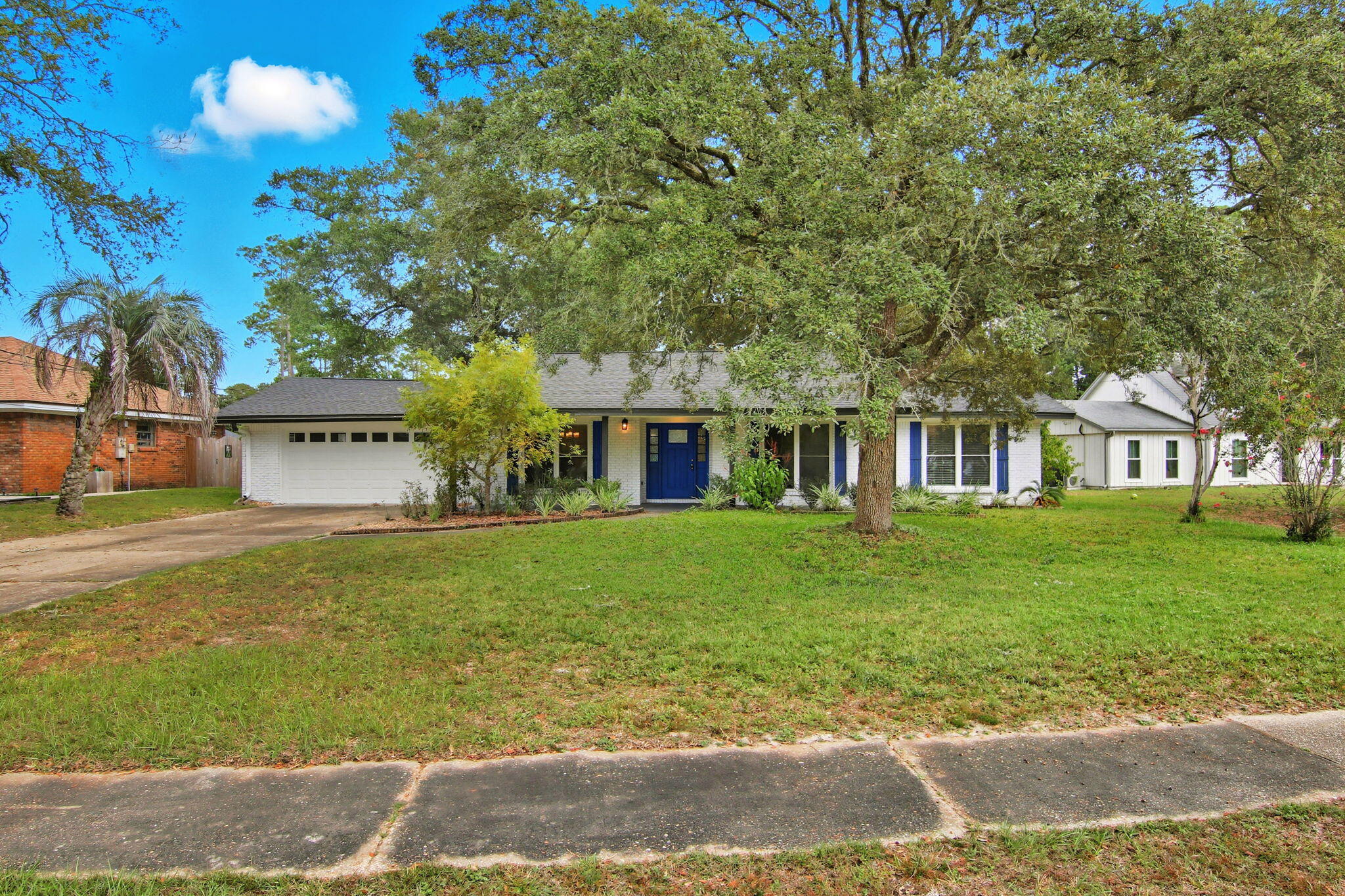 317 Sabal Palm Drive