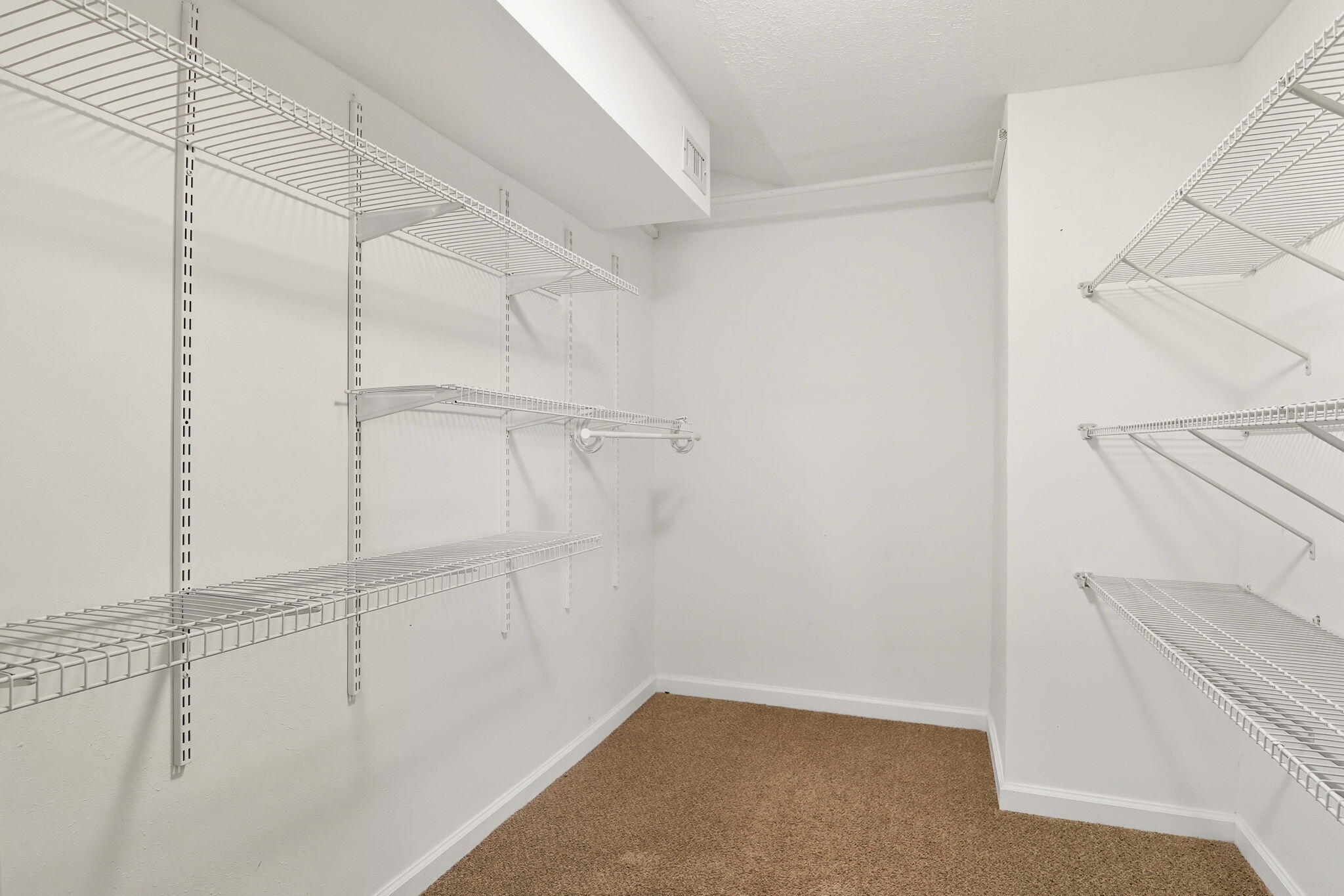 317 Sabal Palm Drive