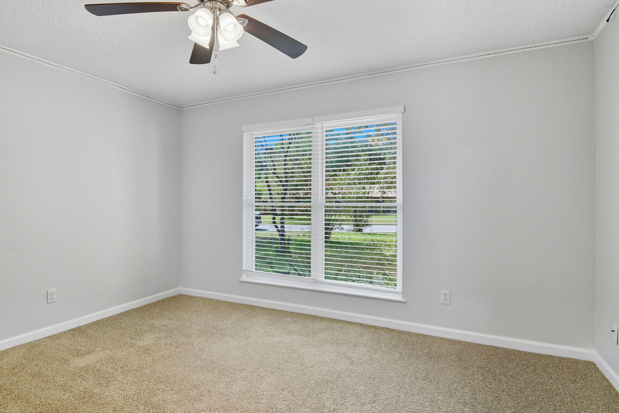 317 Sabal Palm Drive