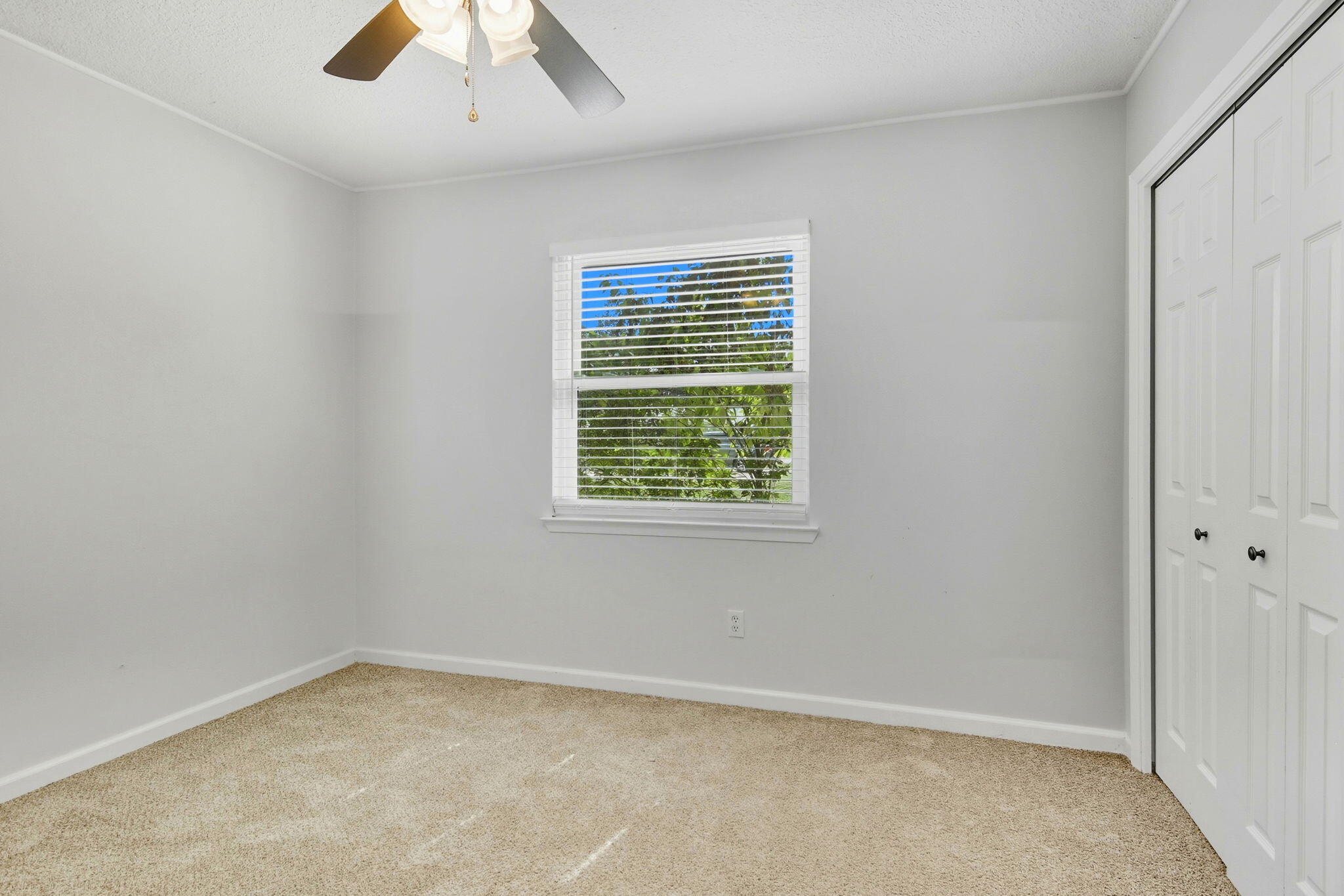 317 Sabal Palm Drive