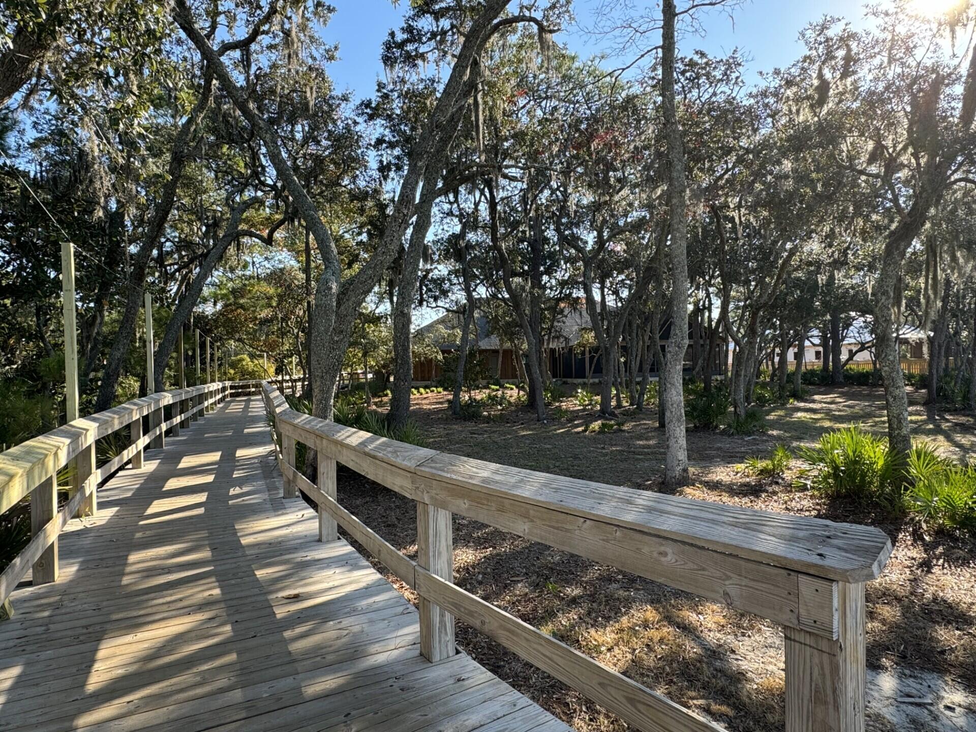 38 Camellia Court