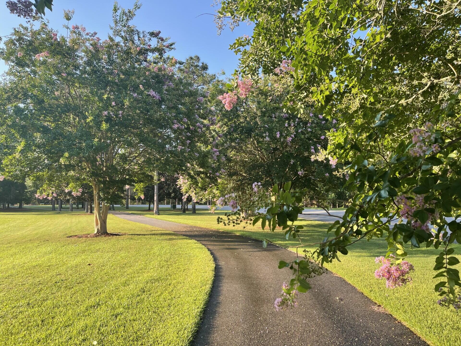 38 Camellia Court