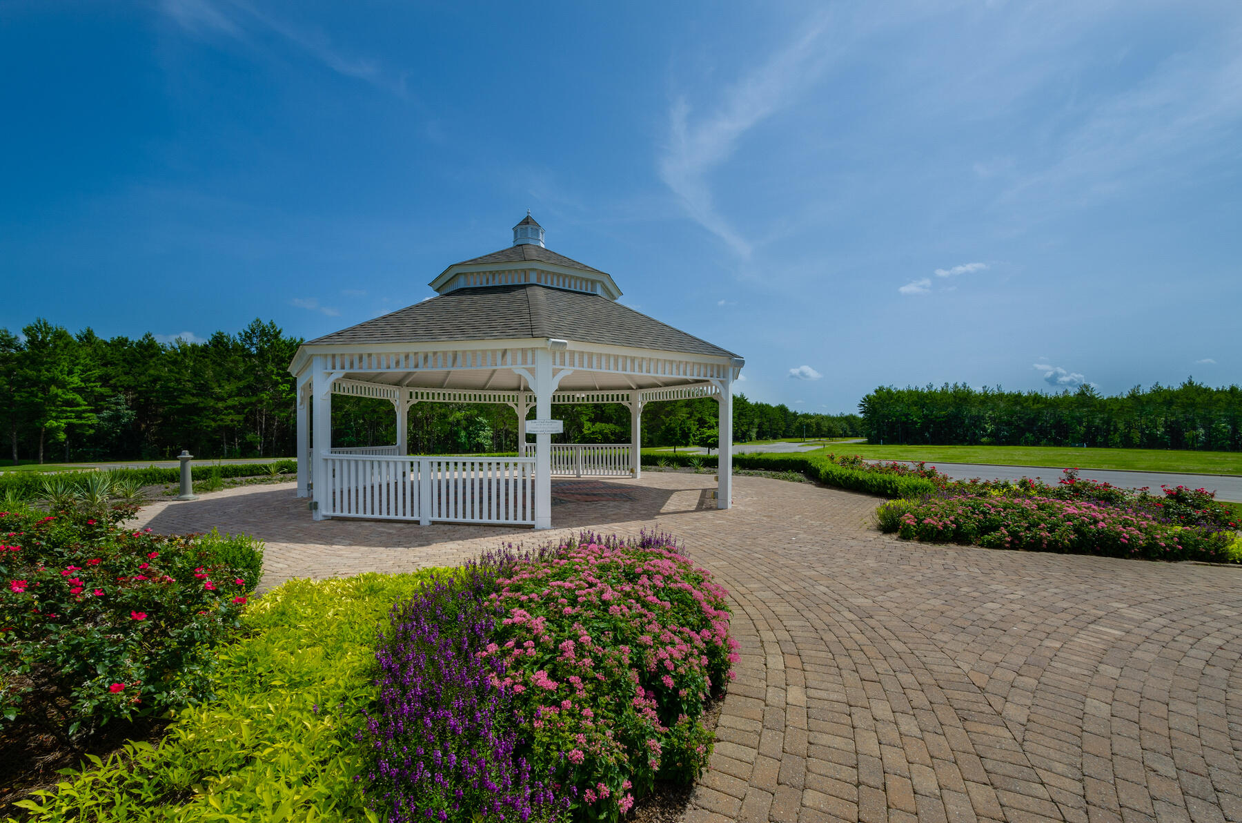 38 Camellia Court