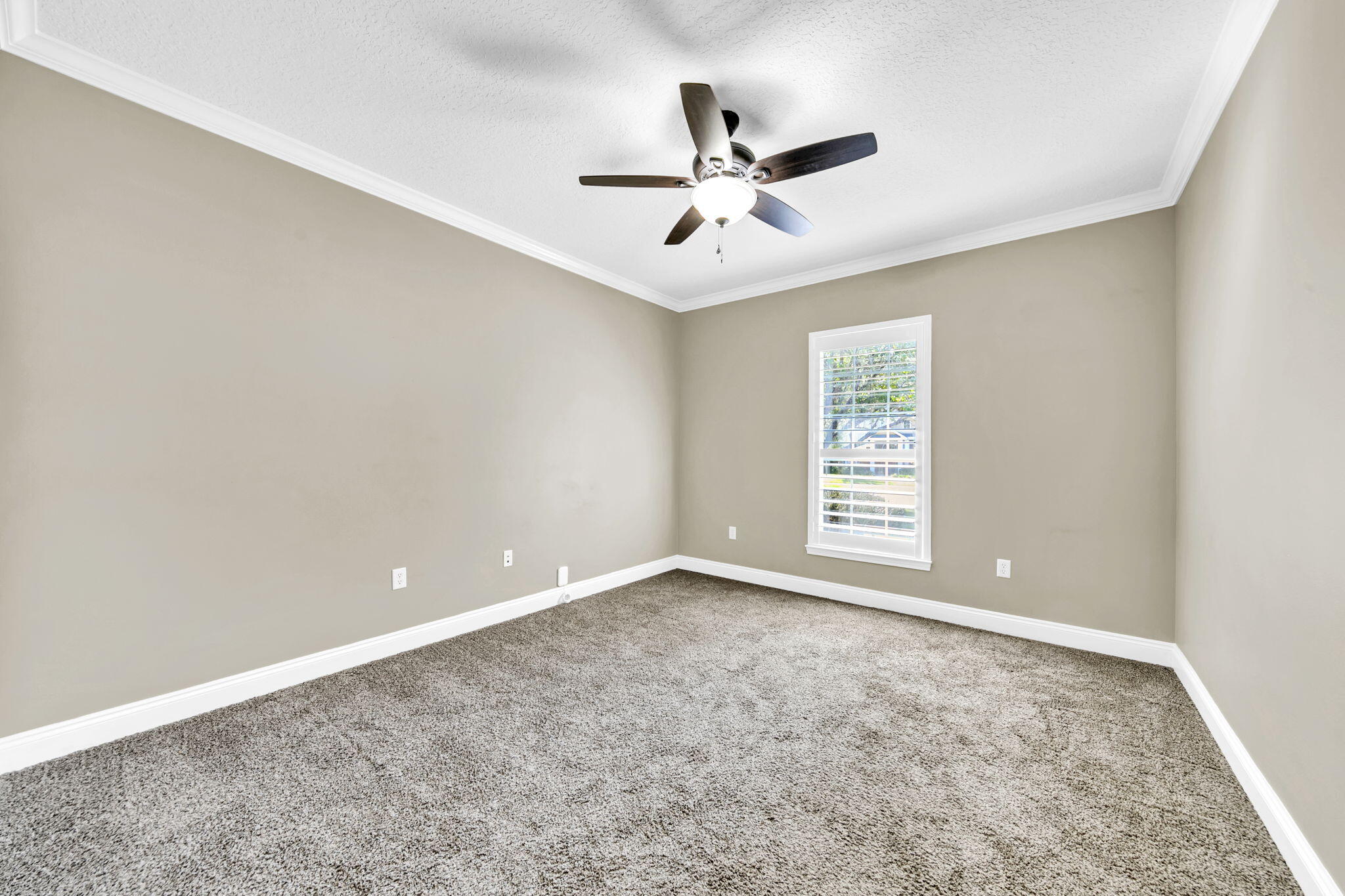 2623 Brodie Lane