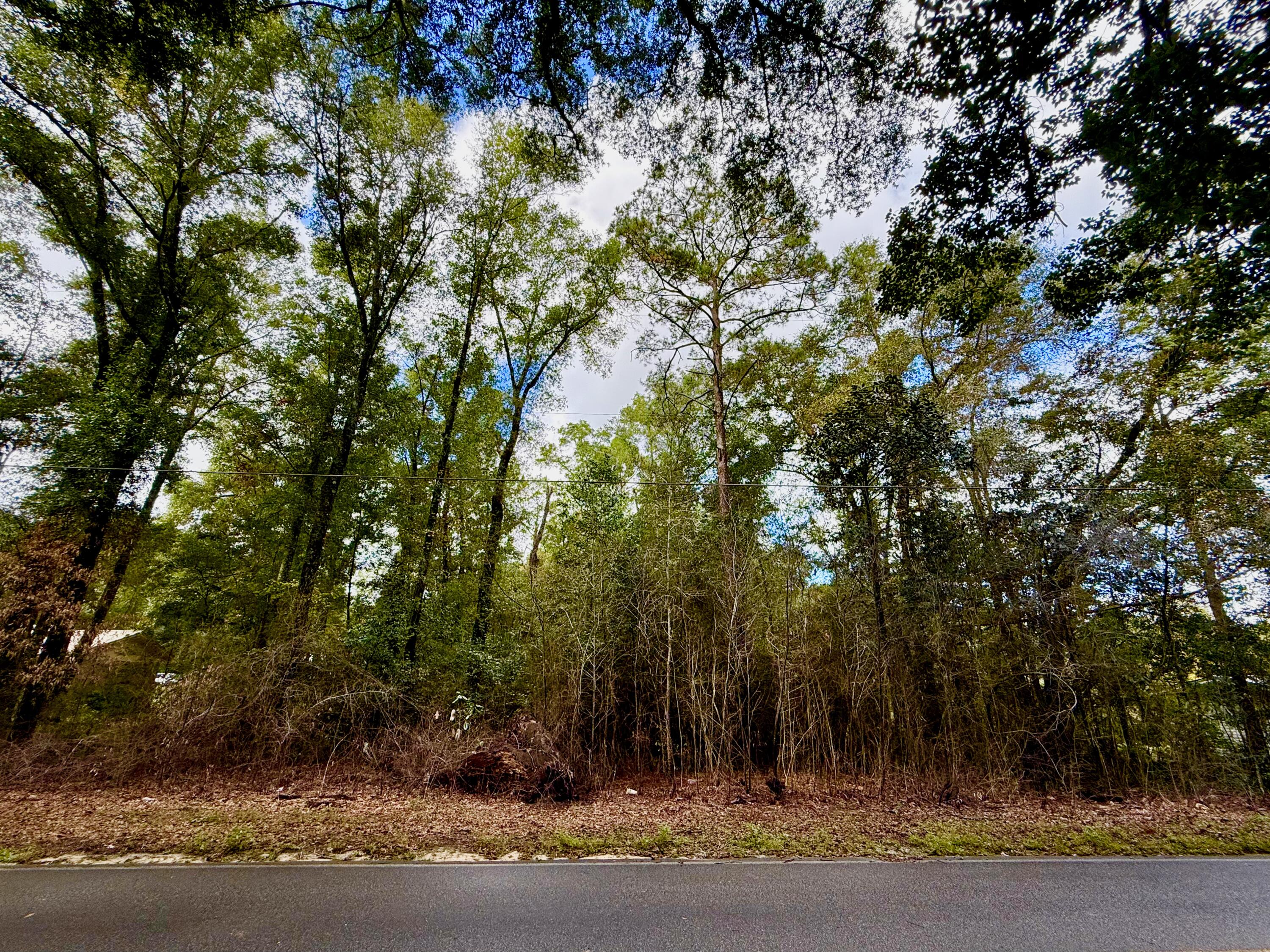 Lot 3 N Norwood Road, DeFuniak Springs