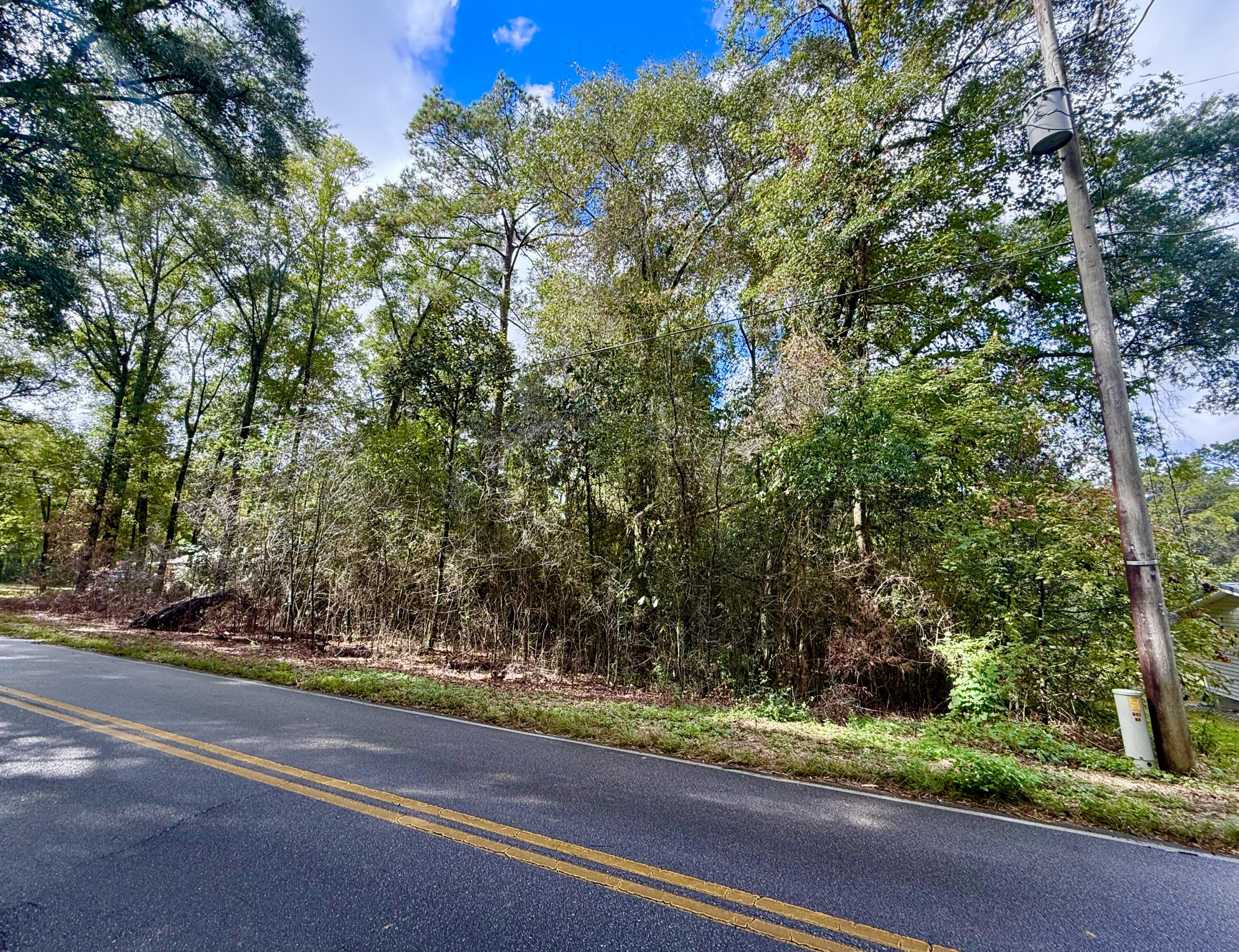 Lot 3 N Norwood Road, DeFuniak Springs