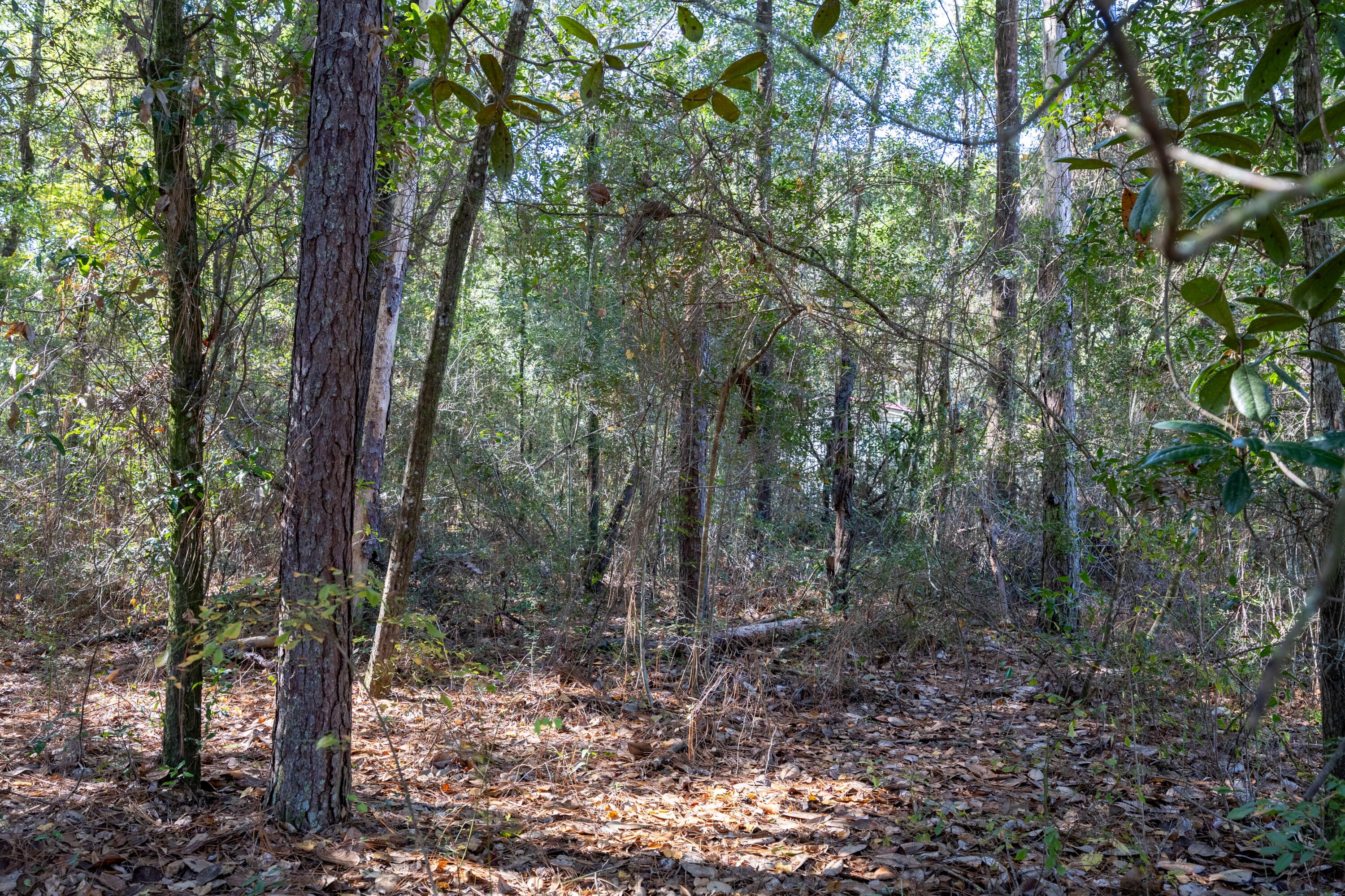 Lot 4 German Club Road, DeFuniak Springs