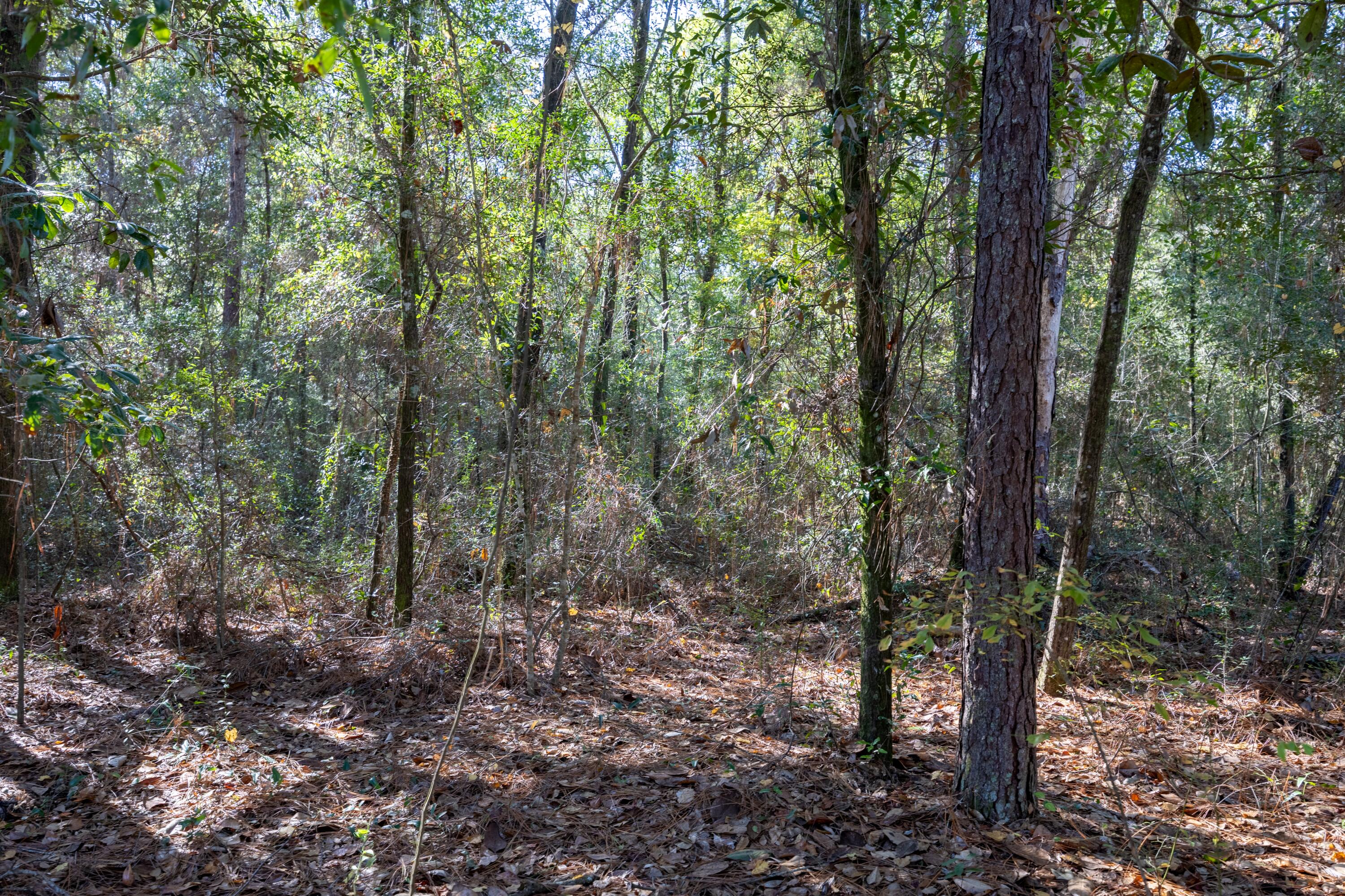Lot 4 German Club Road, DeFuniak Springs