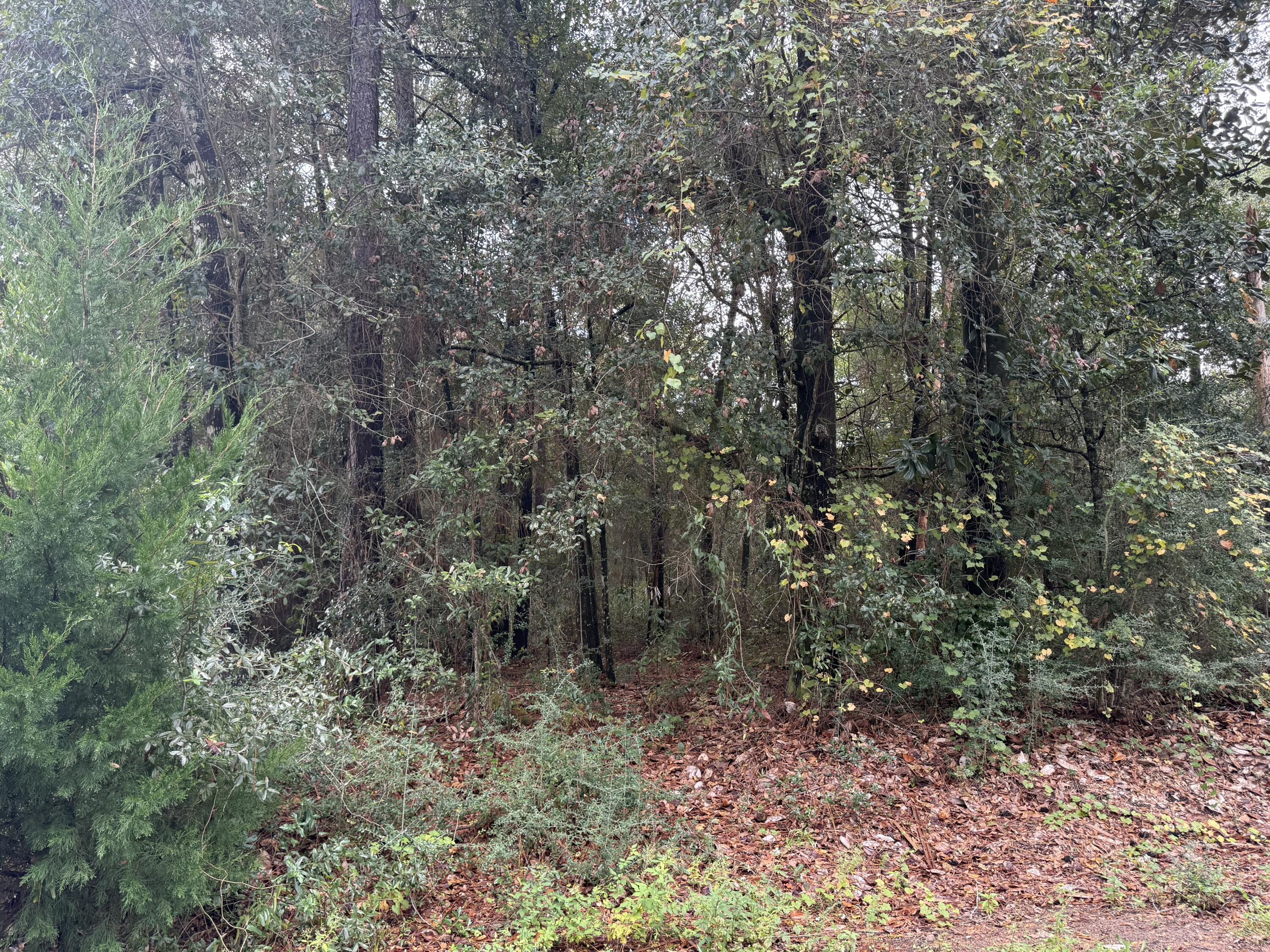 Lot 4 German Club Road, DeFuniak Springs