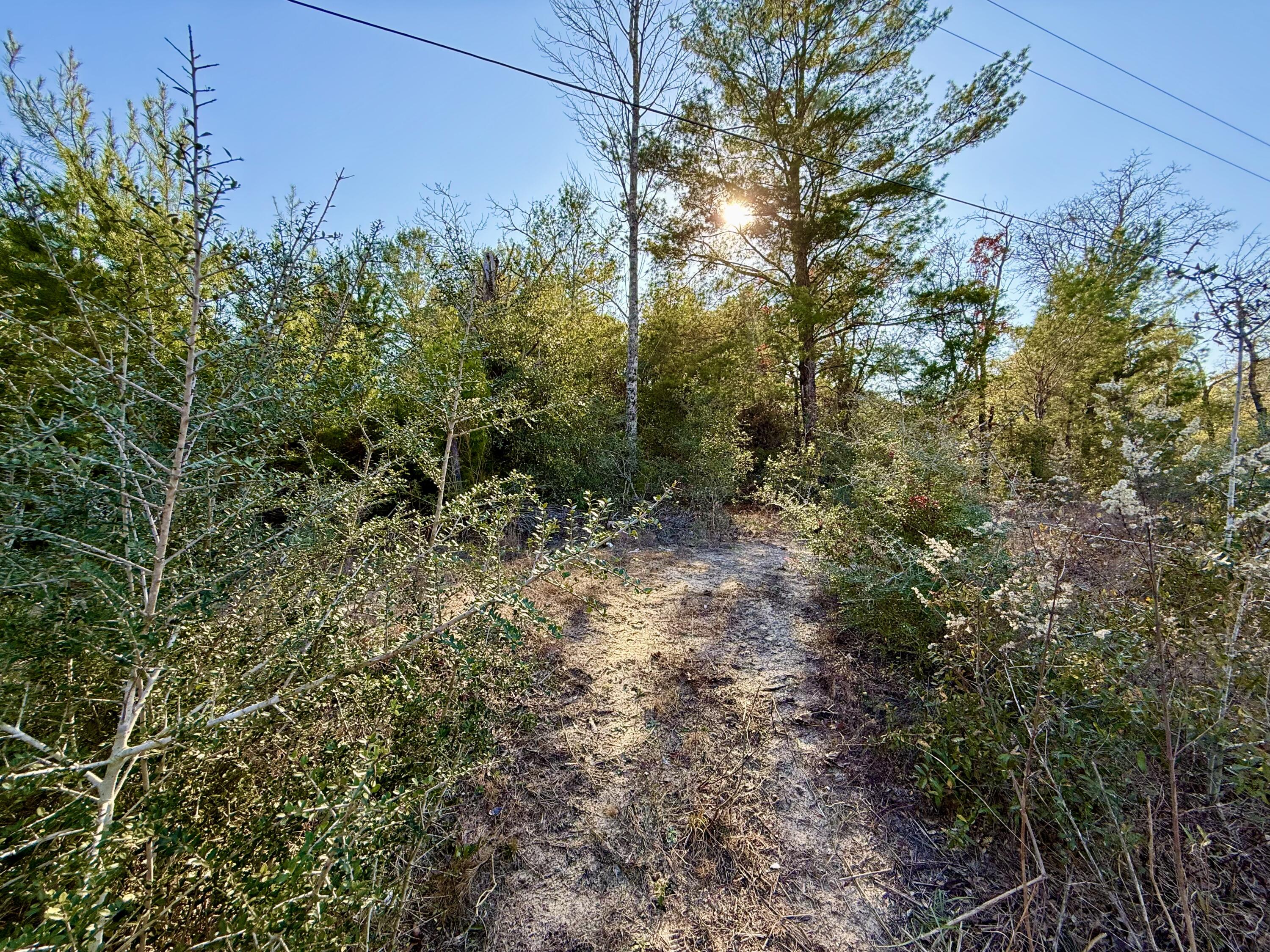 Lot 6 Blk 14 E Tiger Lily Lane, DeFuniak Springs
