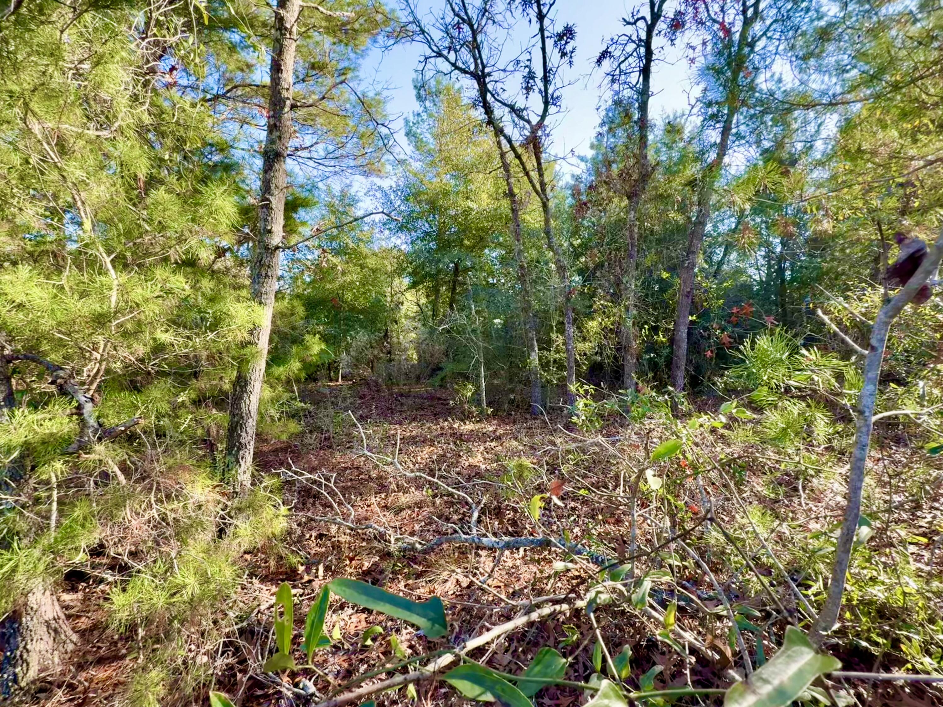 Lot 6 Blk 14 E Tiger Lily Lane, DeFuniak Springs