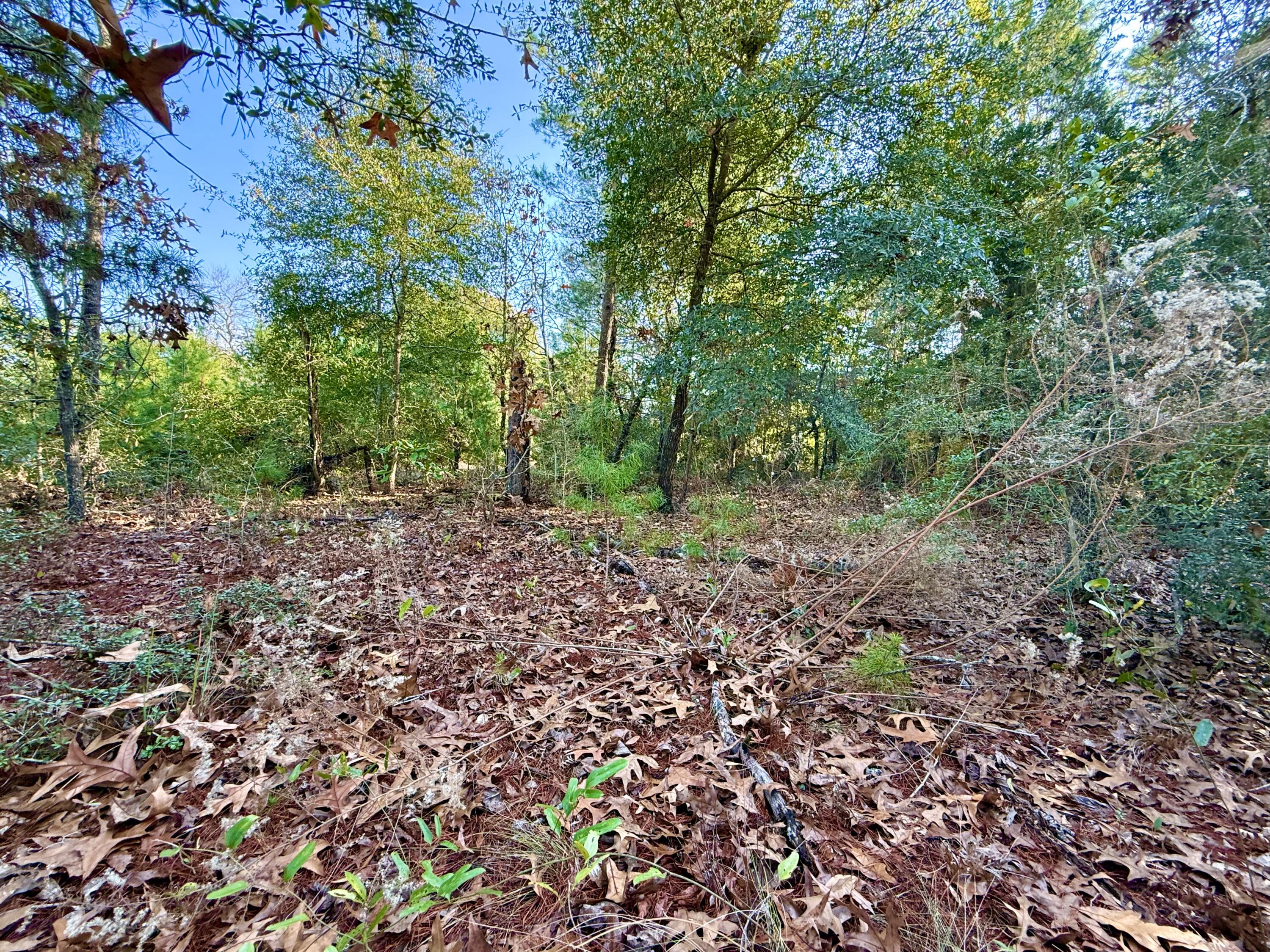 Lot 6 Blk 14 E Tiger Lily Lane, DeFuniak Springs