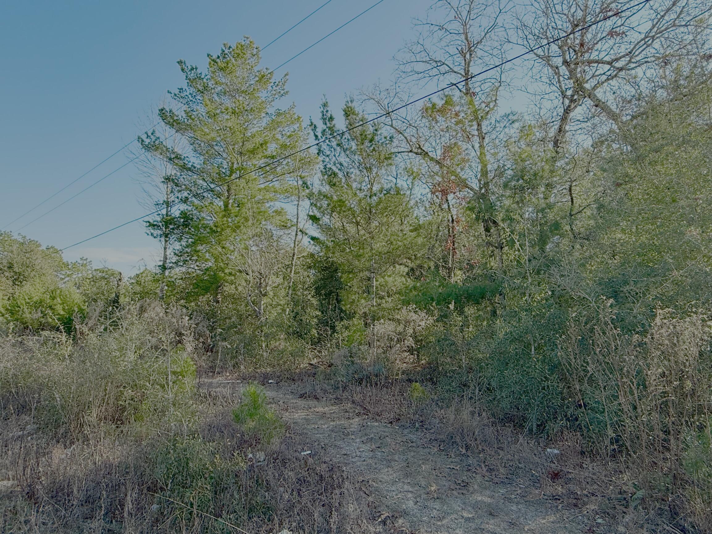 Lot 6 Blk 14 E Tiger Lily Lane, DeFuniak Springs