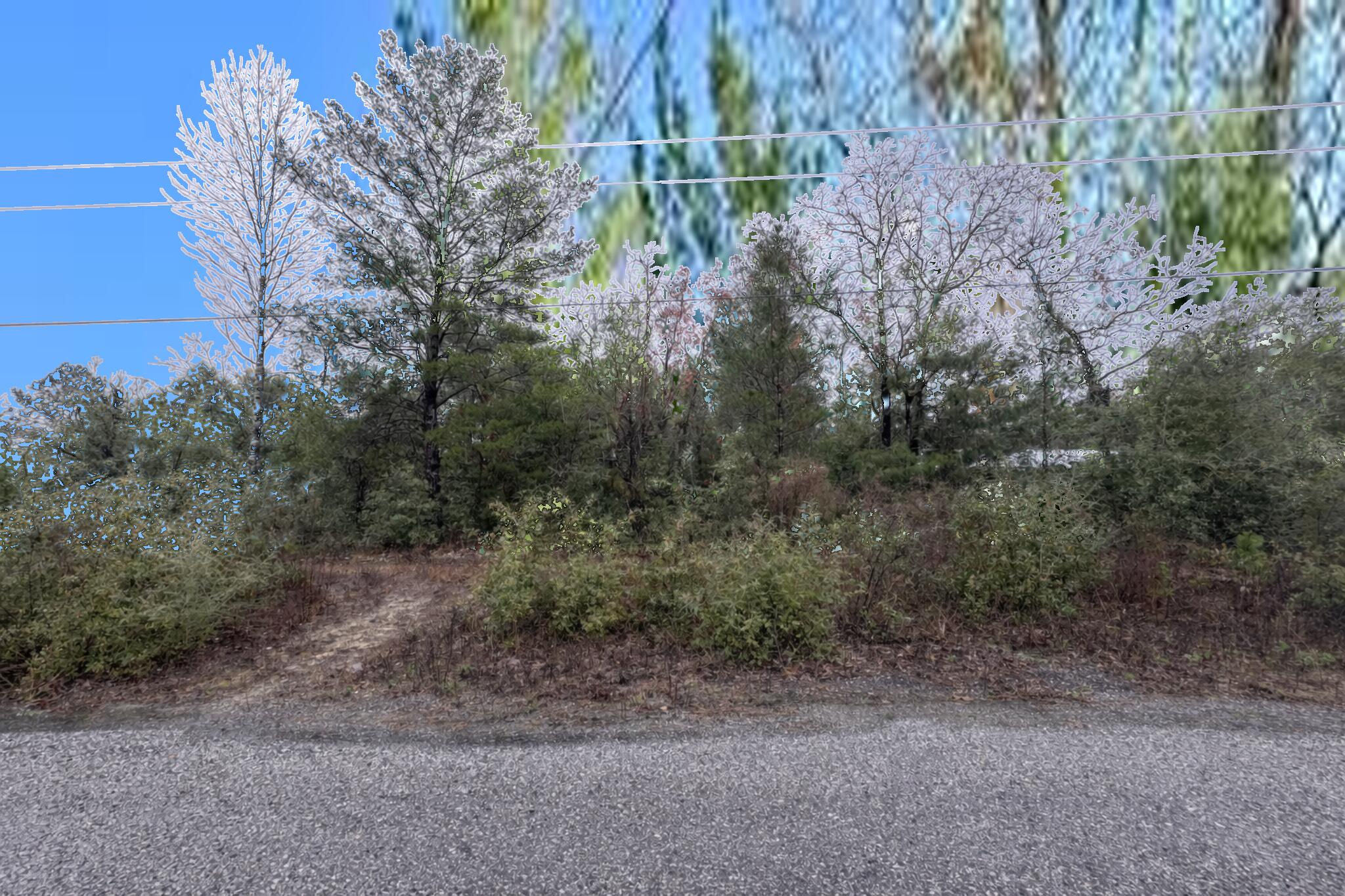 Lot 6 Blk 14 E Tiger Lily Lane, DeFuniak Springs