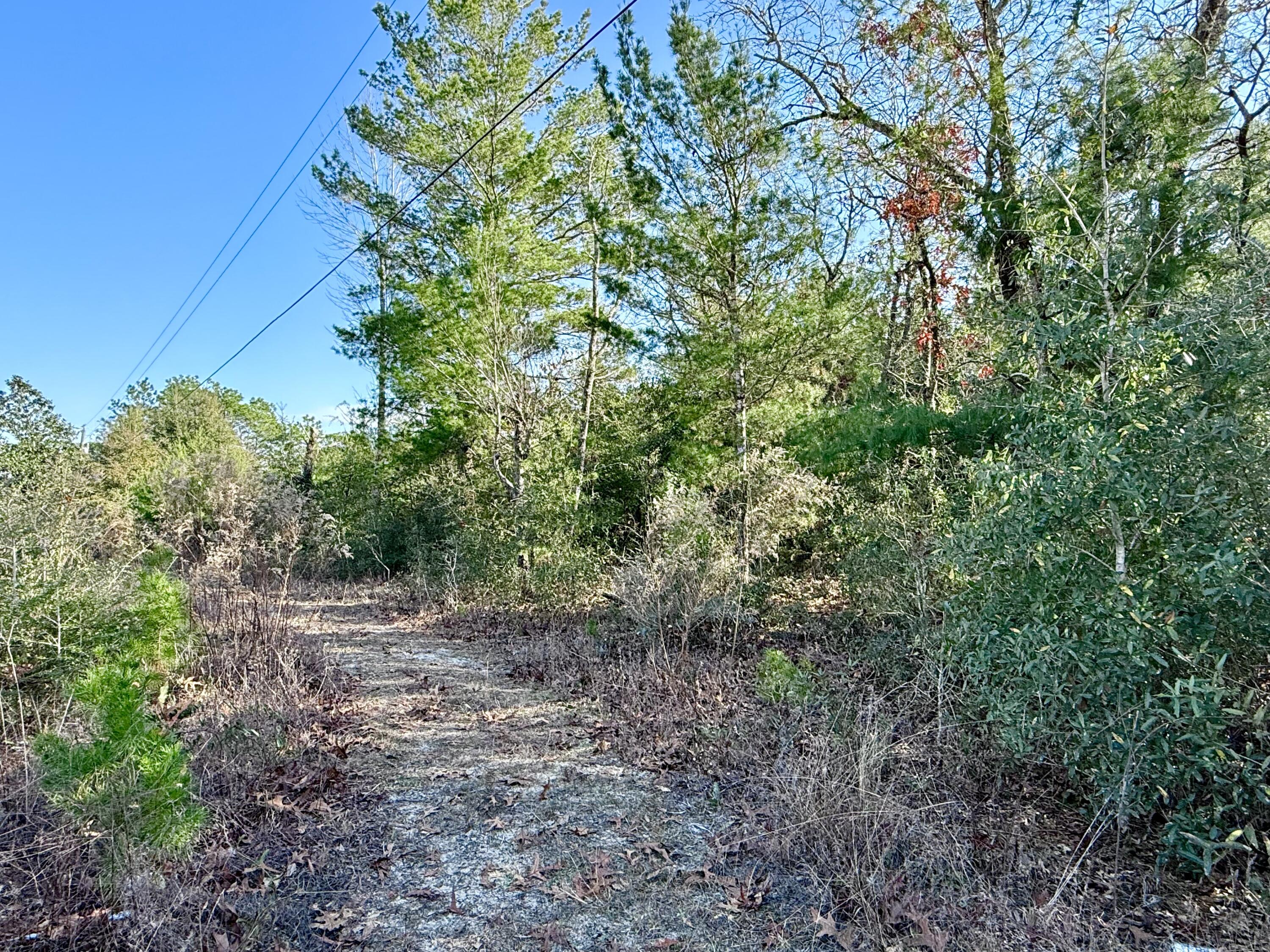 Lot 6 Blk 14 E Tiger Lily Lane, DeFuniak Springs