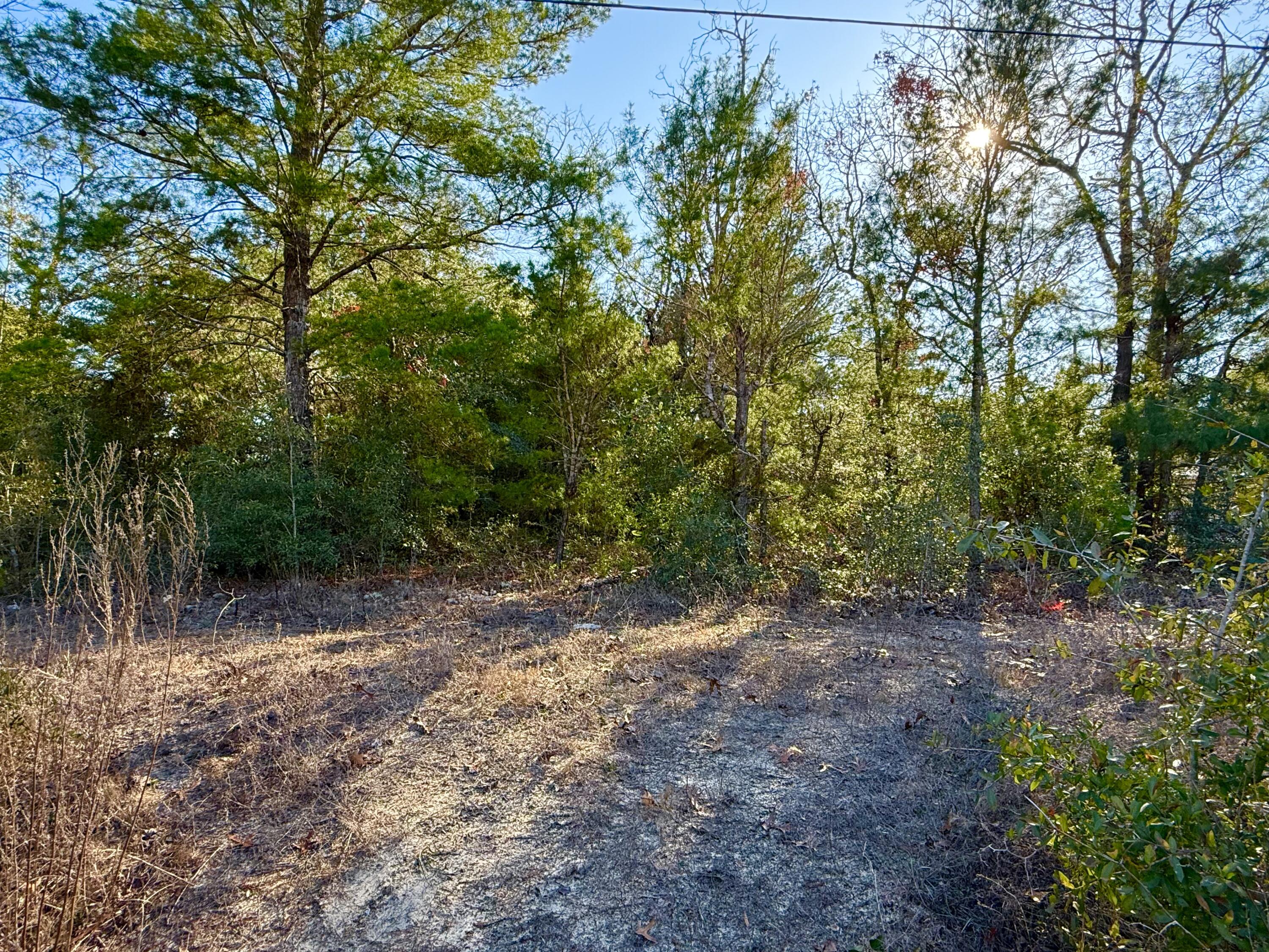 Lot 6 Blk 14 E Tiger Lily Lane, DeFuniak Springs
