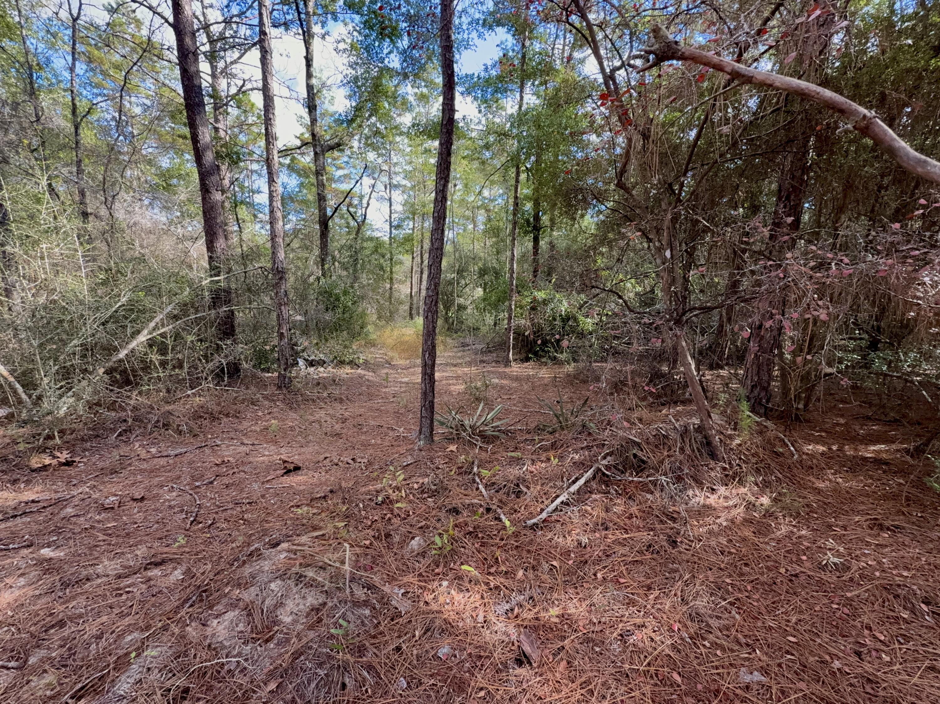 Lot 29 Cleawater Drive, DeFuniak Springs
