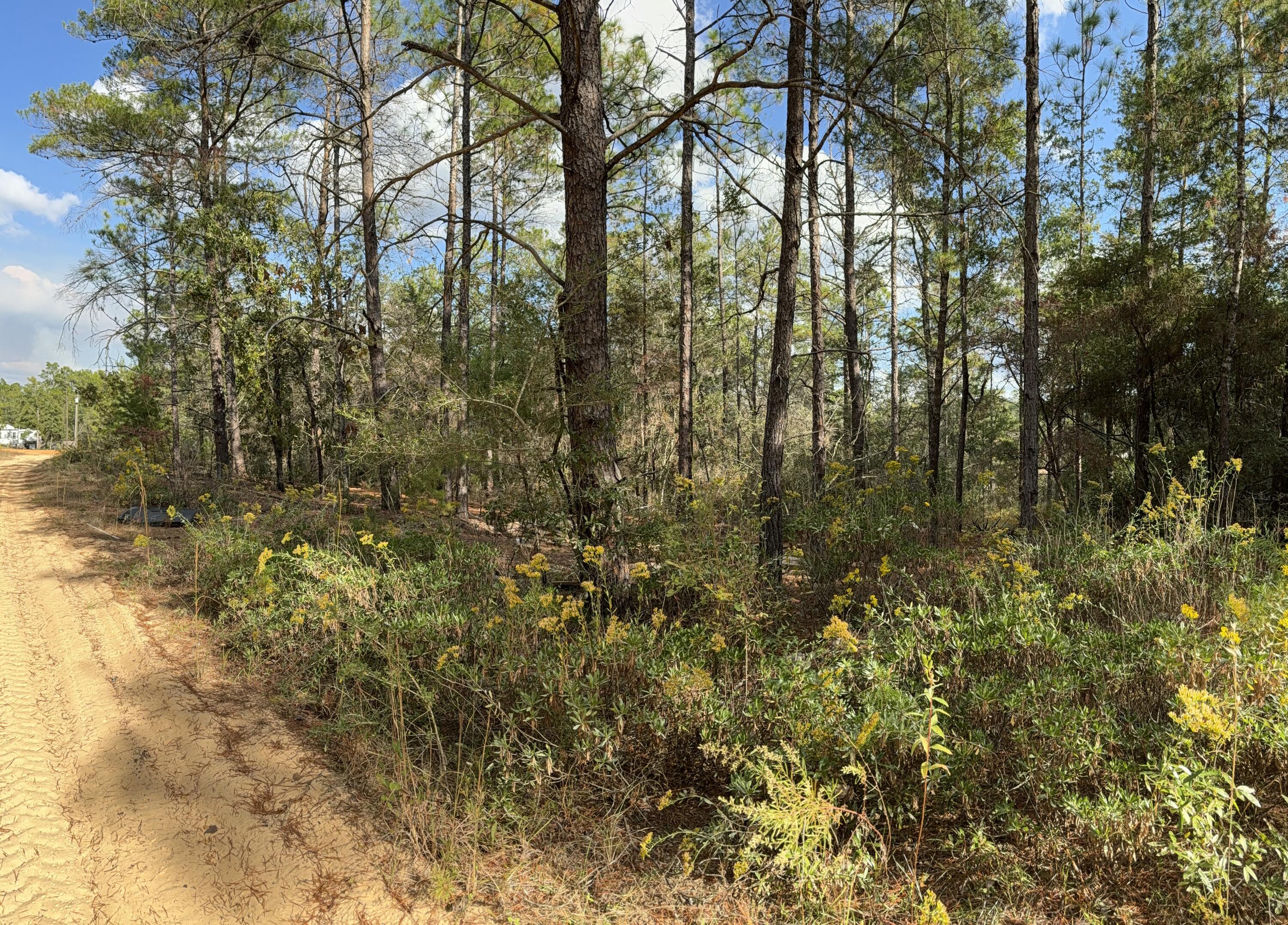 Lot 29 Cleawater Drive, DeFuniak Springs