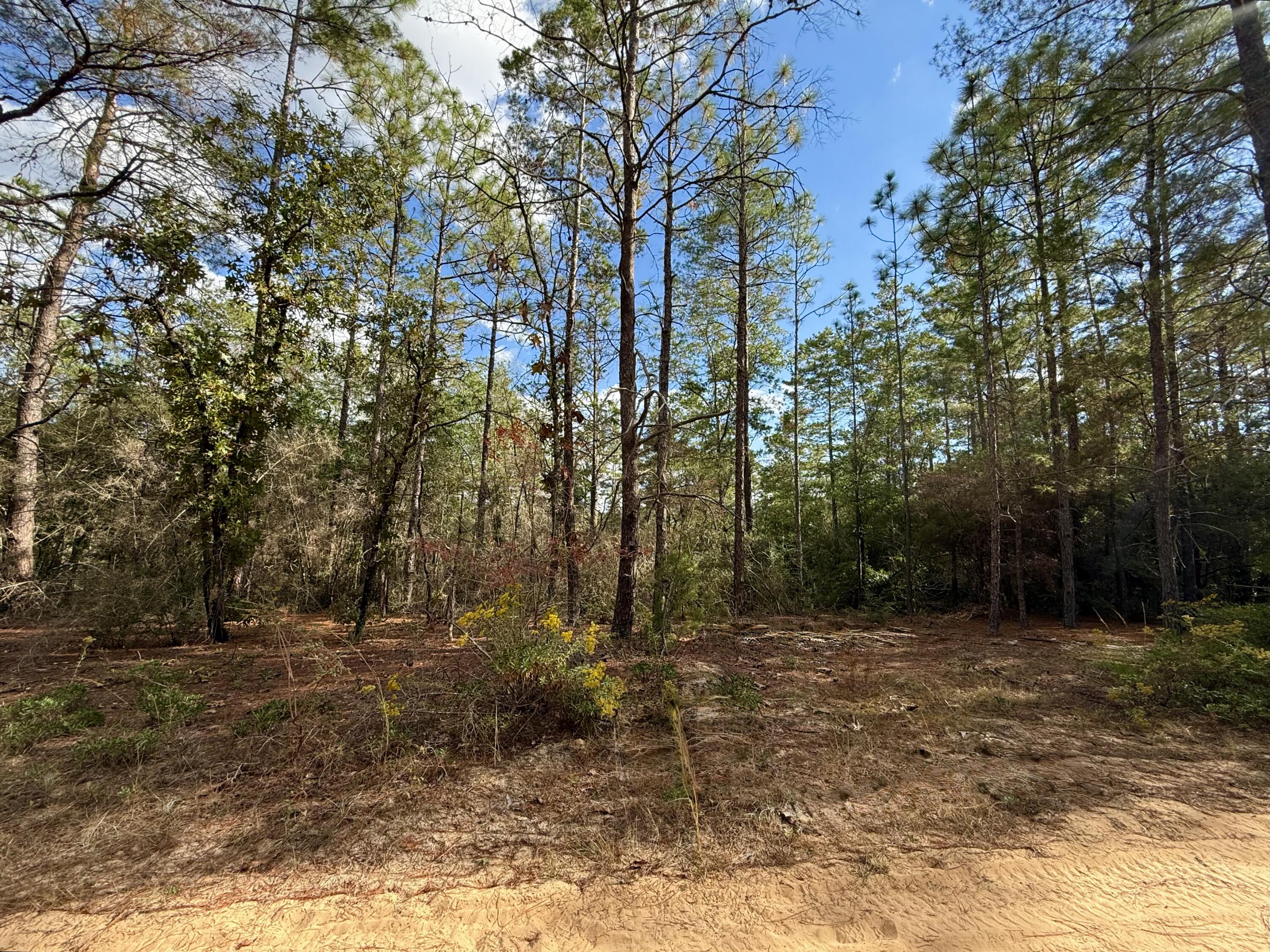 Lot 29 Cleawater Drive, DeFuniak Springs