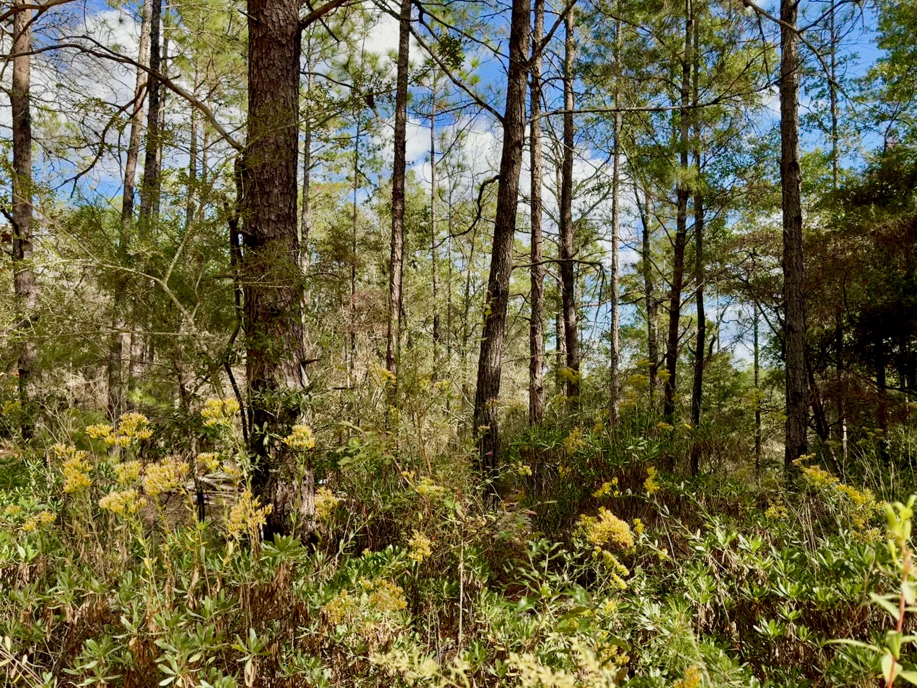 Lot 29 Cleawater Drive, DeFuniak Springs