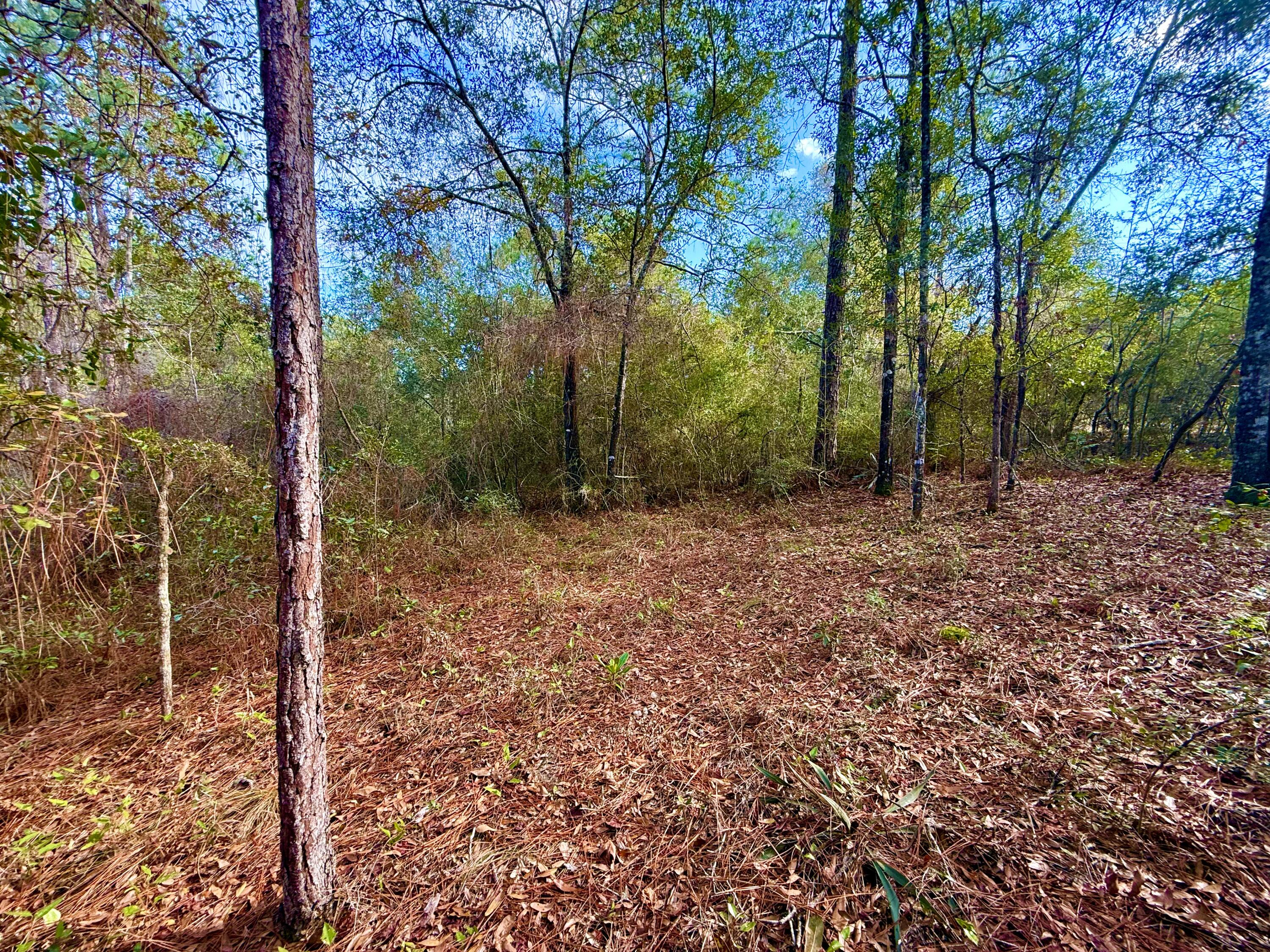 81 Puccini Drive, DeFuniak Springs