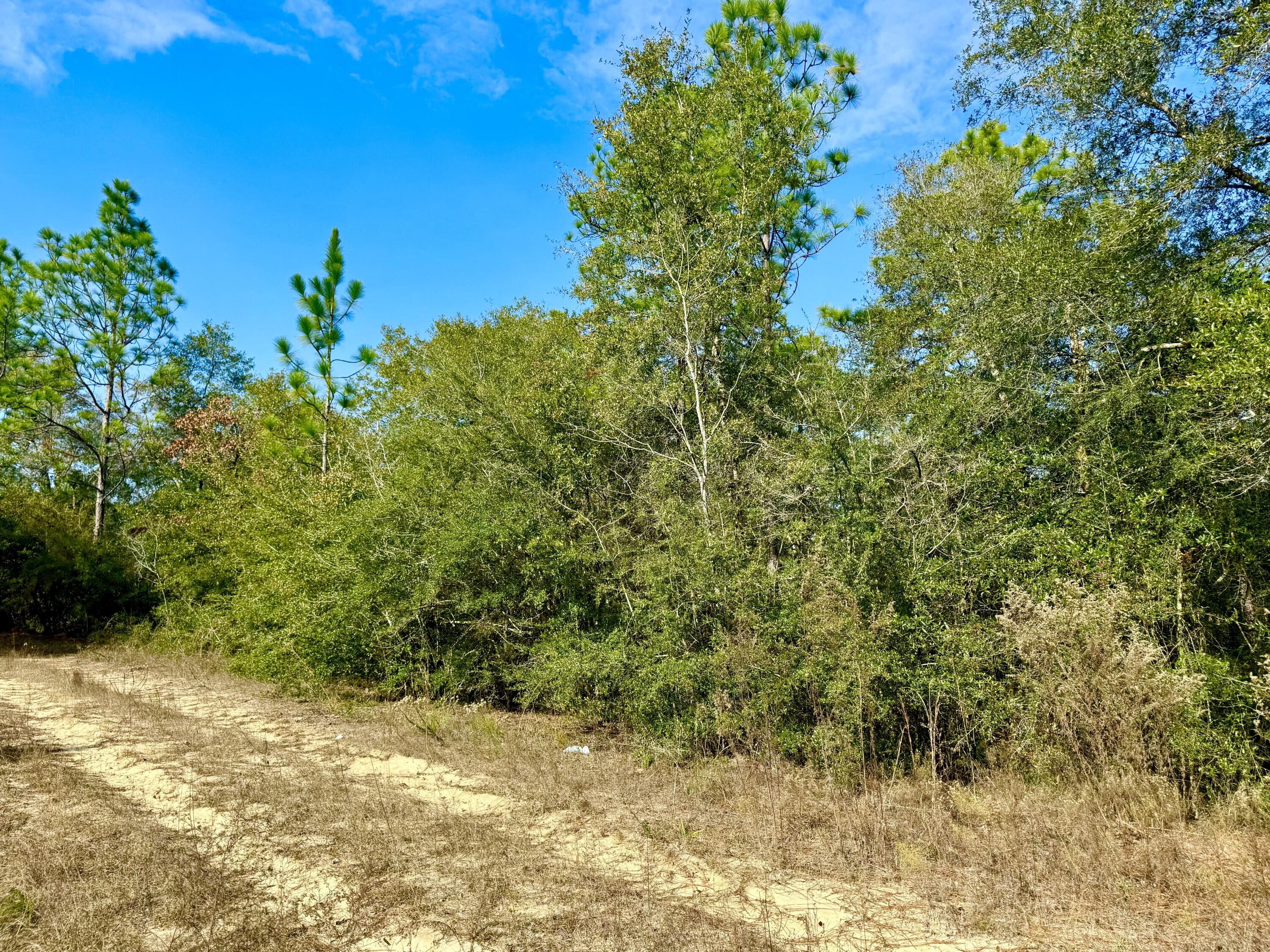81 Puccini Drive, DeFuniak Springs