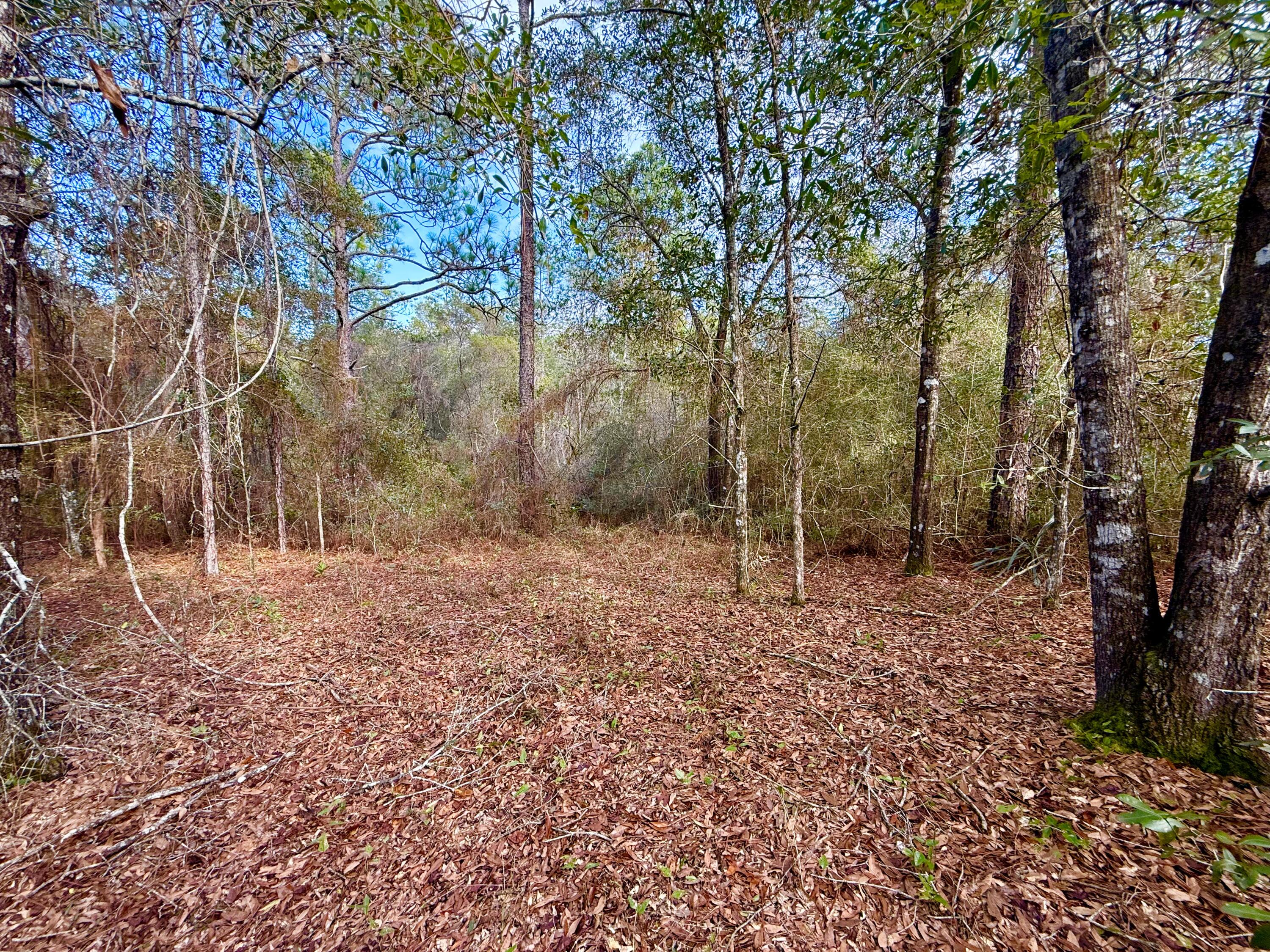 81 Puccini Drive, DeFuniak Springs
