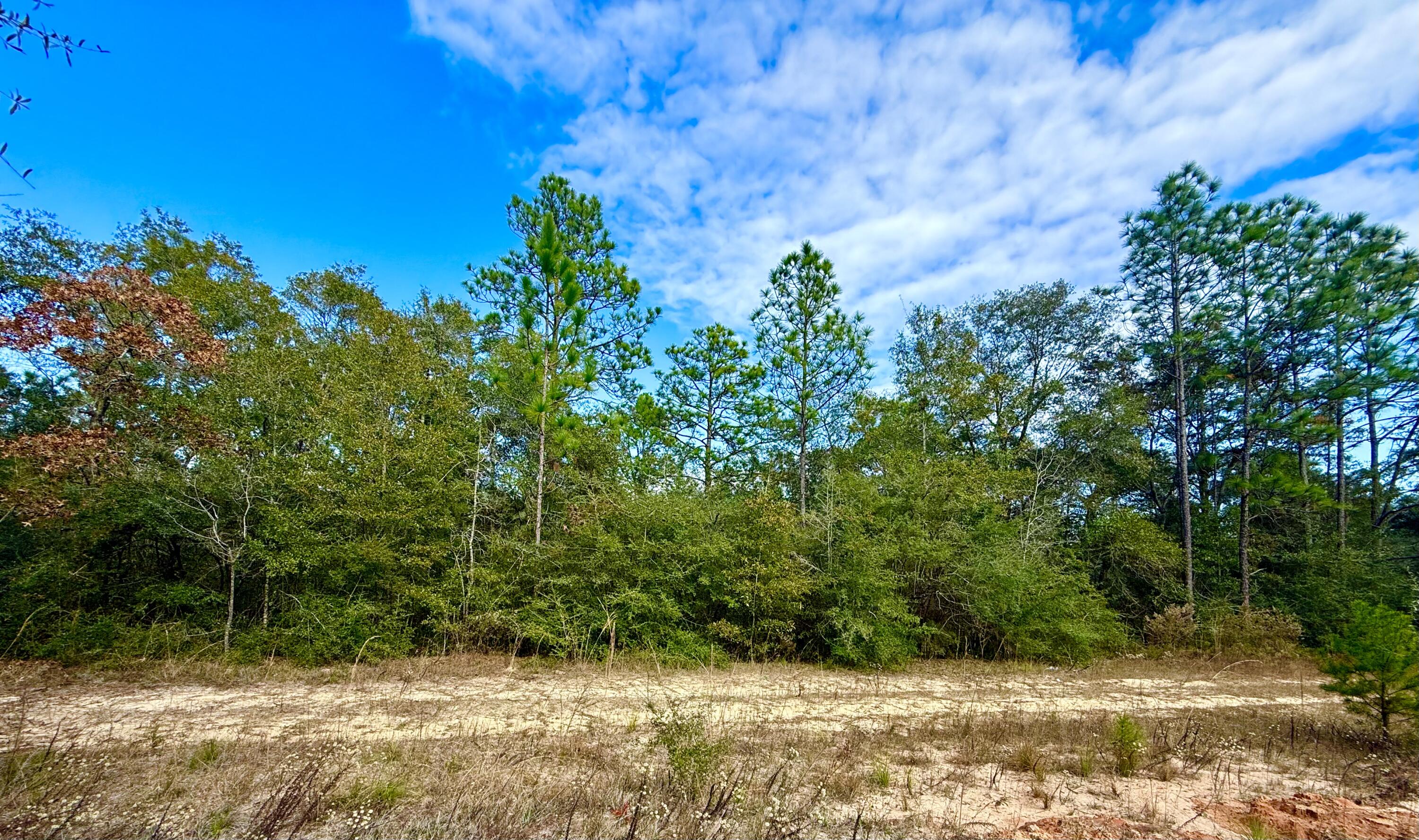 81 Puccini Drive, DeFuniak Springs
