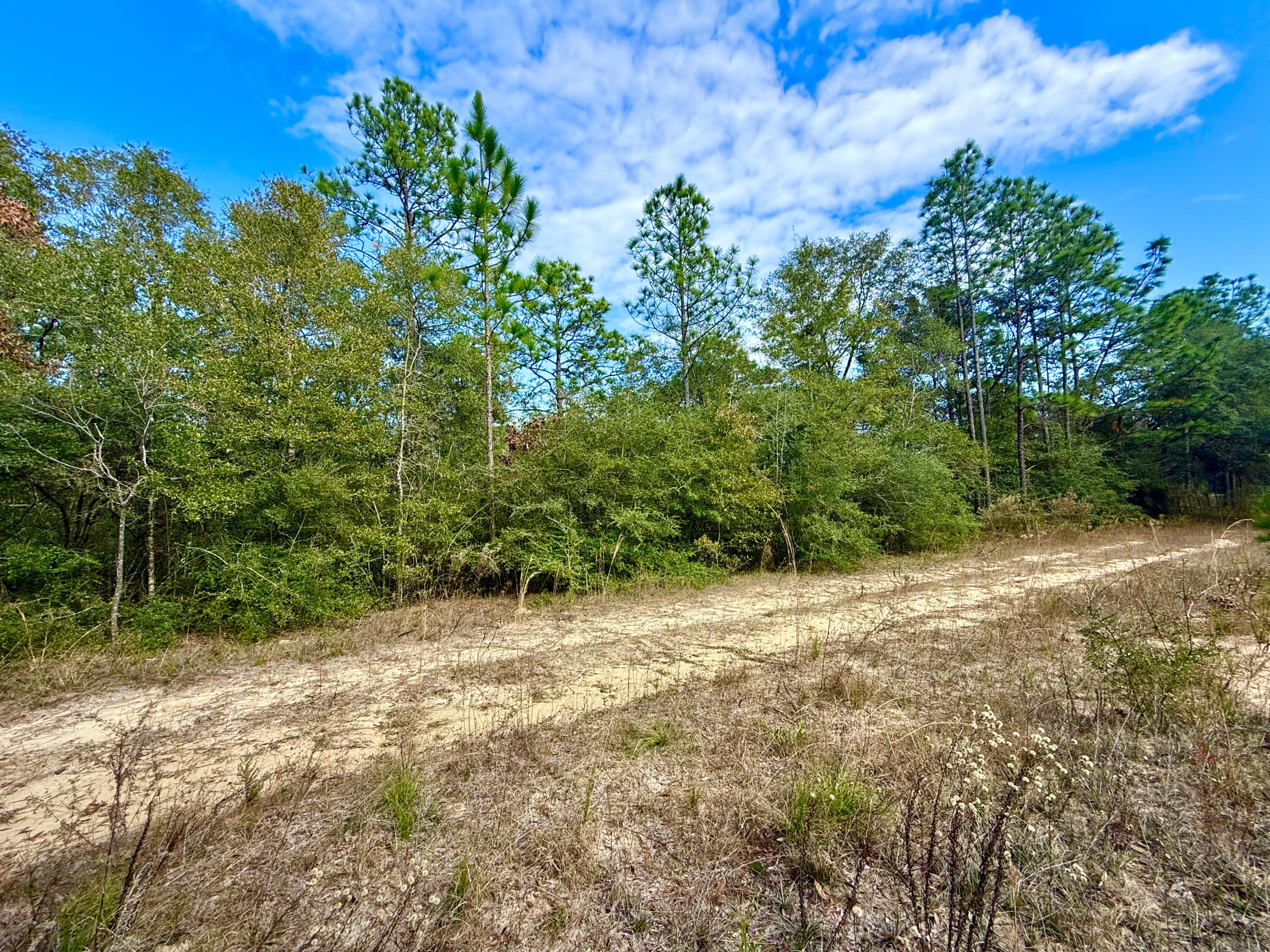 81 Puccini Drive, DeFuniak Springs