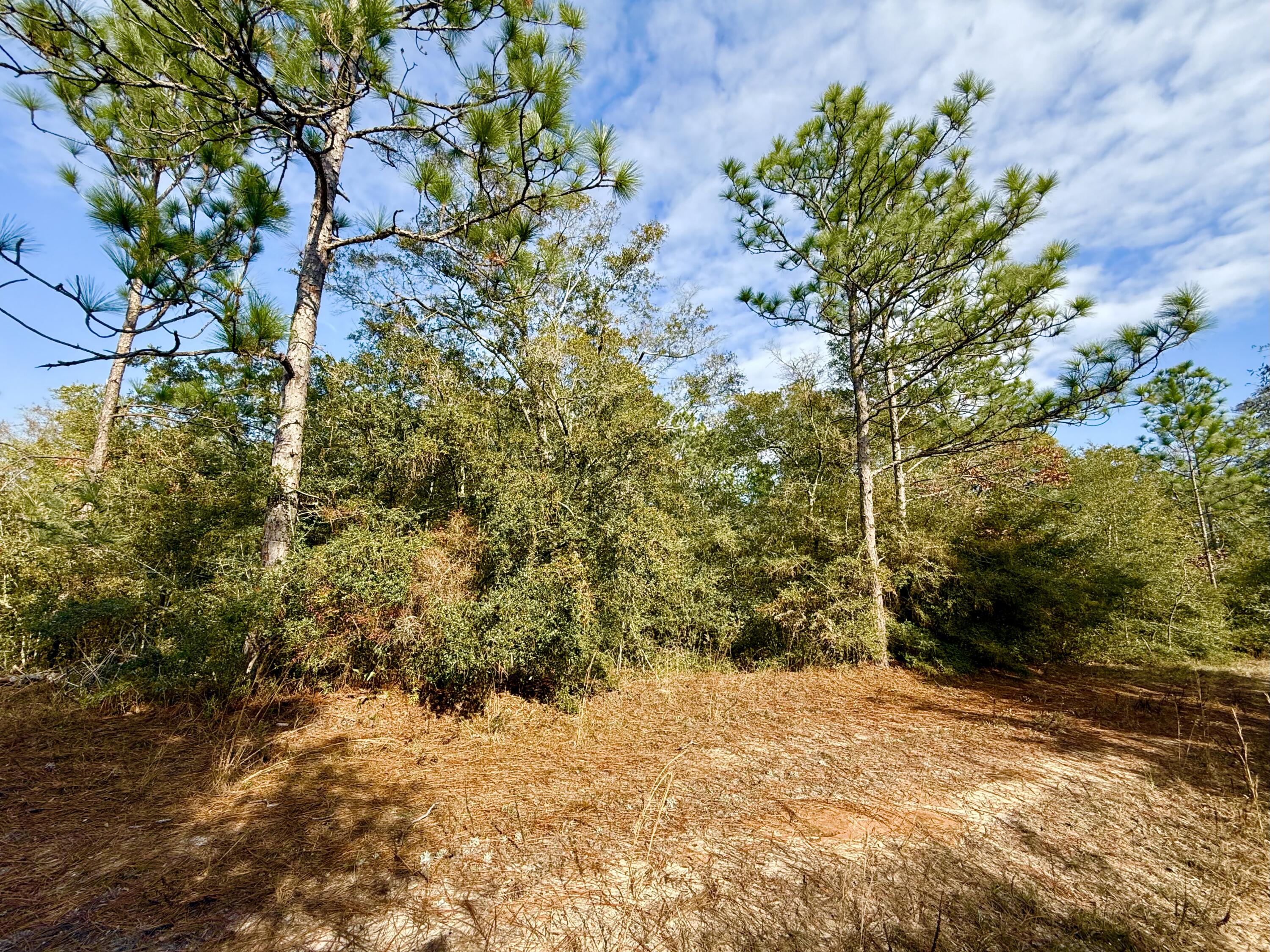 81 Puccini Drive, DeFuniak Springs