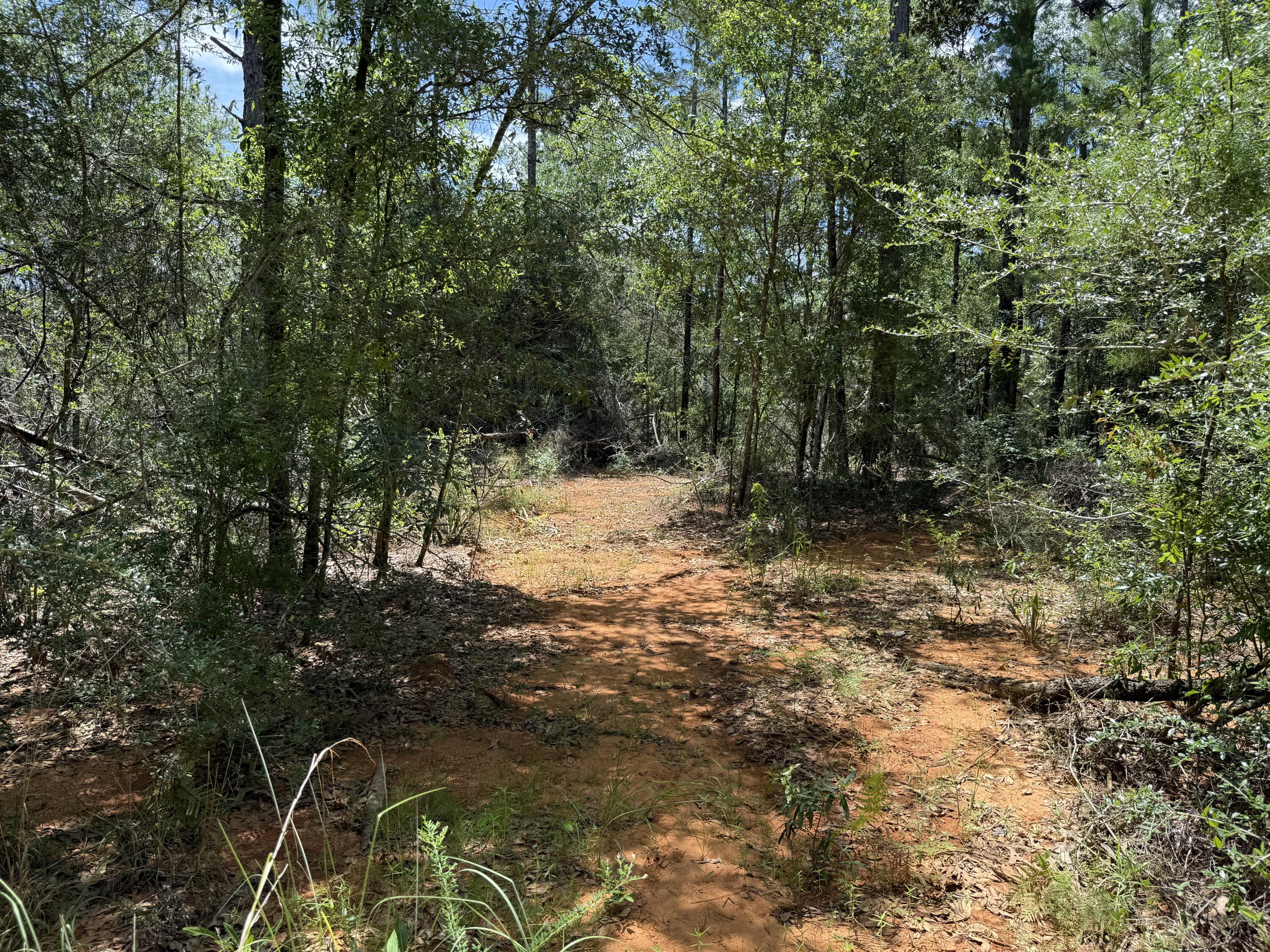 Lot 38 BLK 68 on Clearwater Drive, DeFuniak Springs
